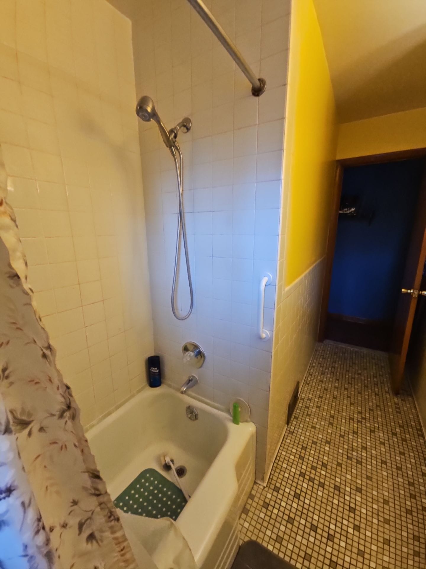Before Bath Remodel