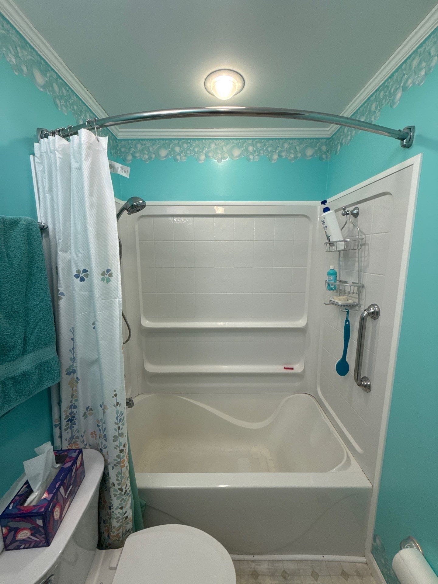 Before Bath Remodel