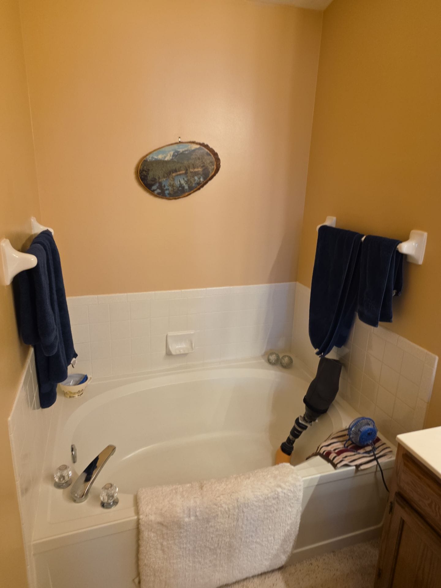 Before Bath Remodel