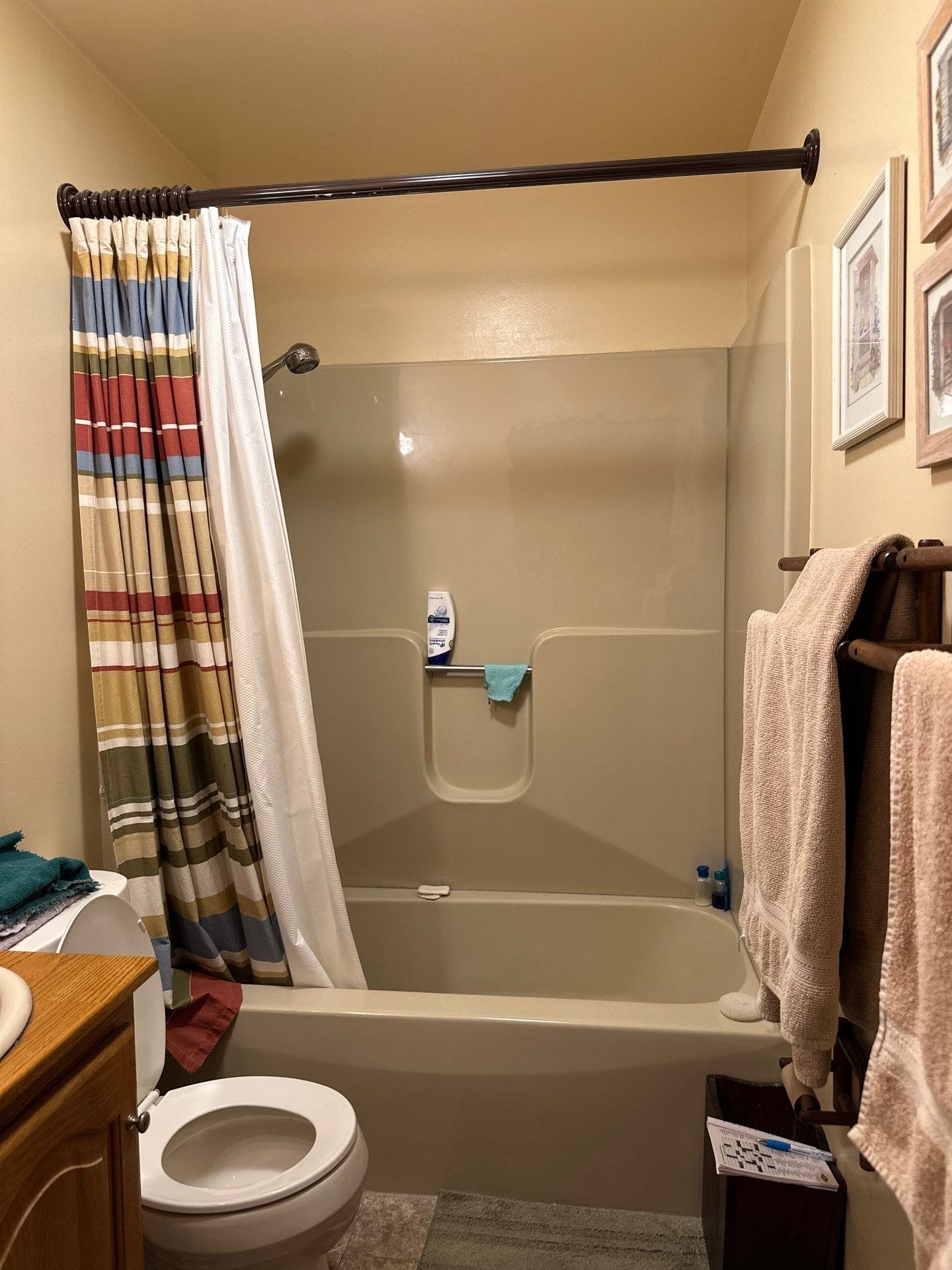 Before Bath Remodel