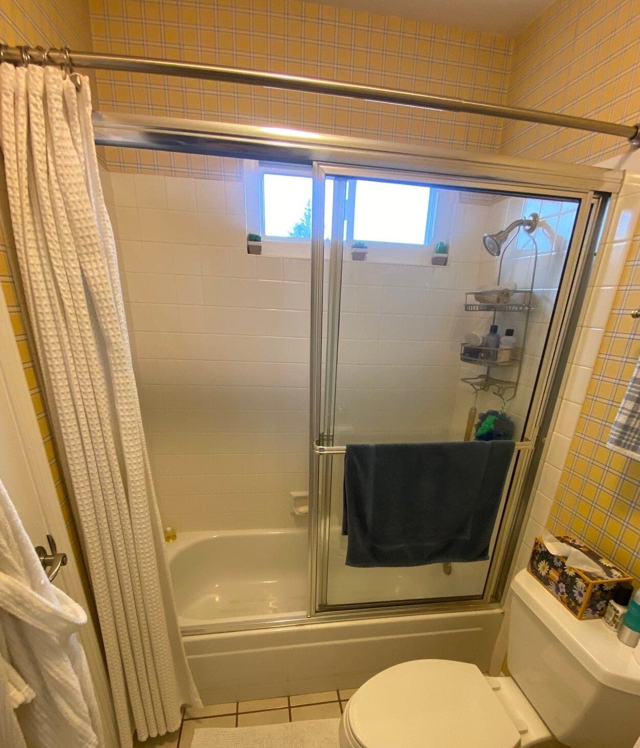 Before Bath Remodel
