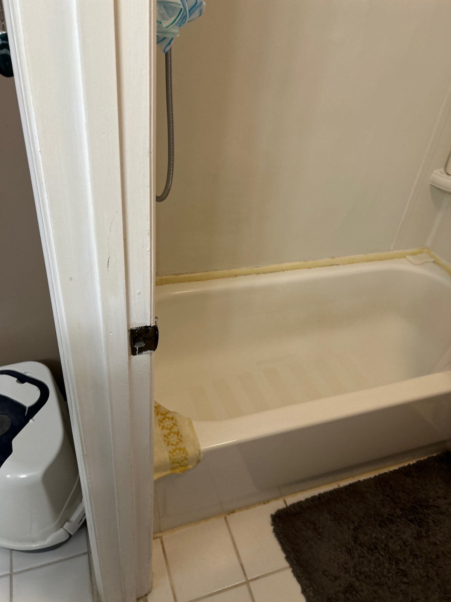 Before Bath Remodel