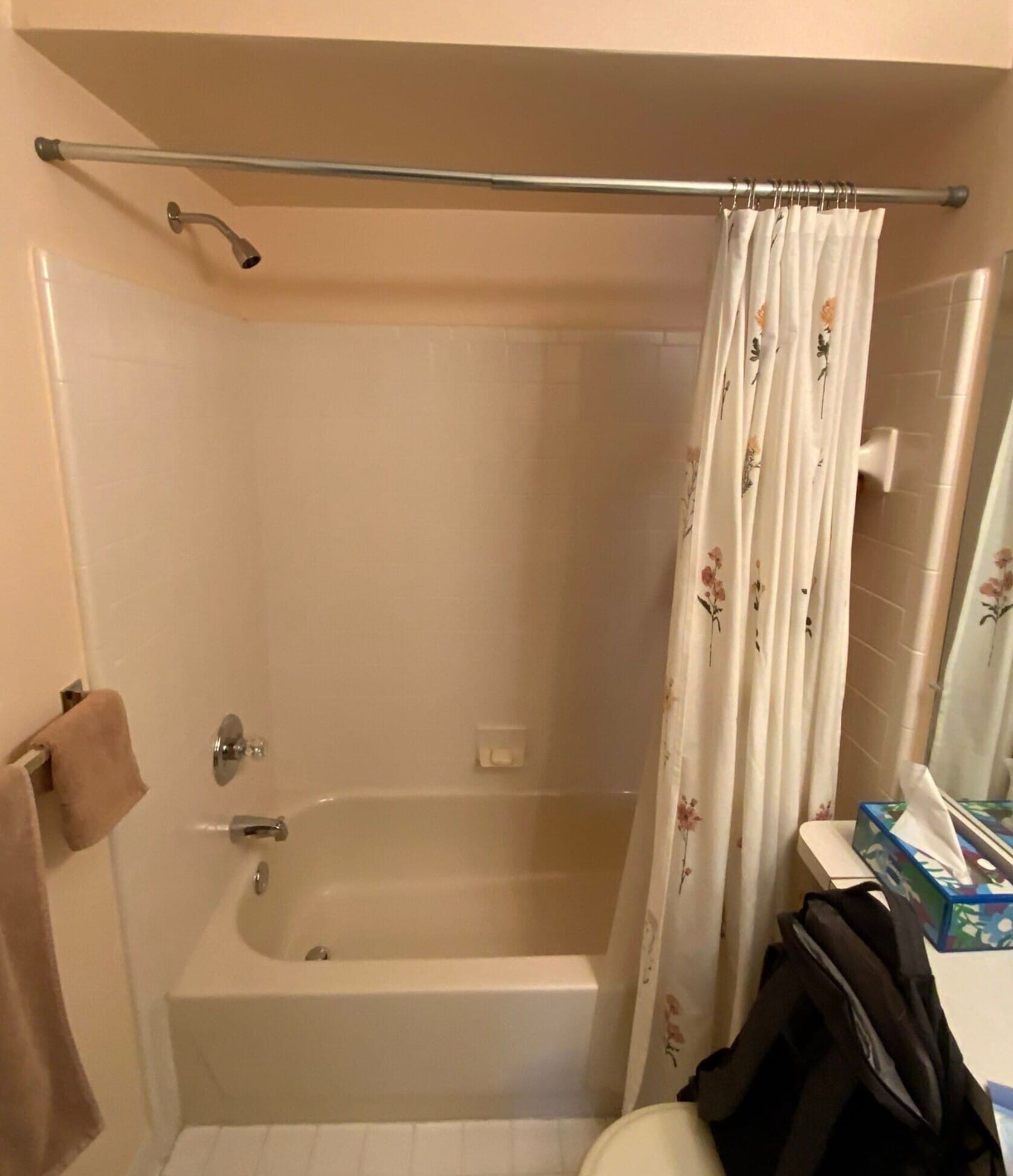 Before Bath Remodel