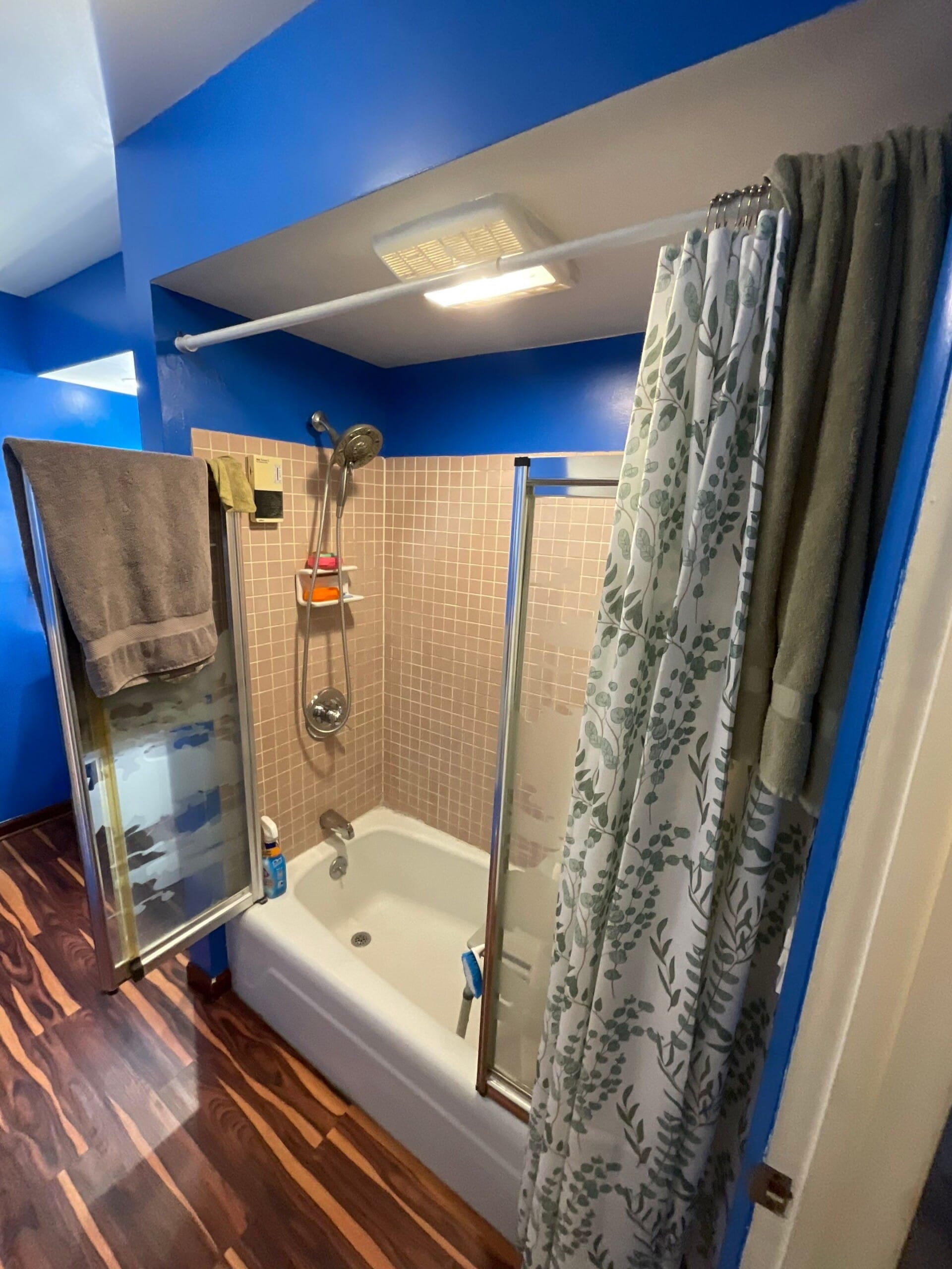 Before Bath Remodel