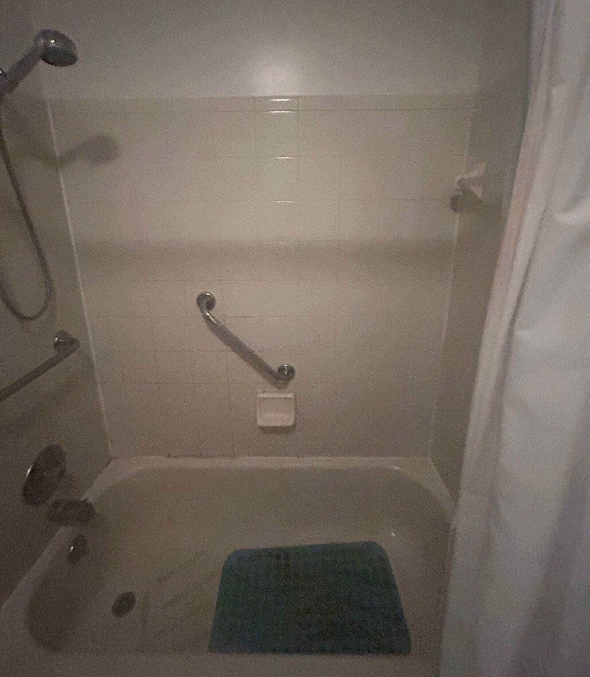 Before Bath Remodel
