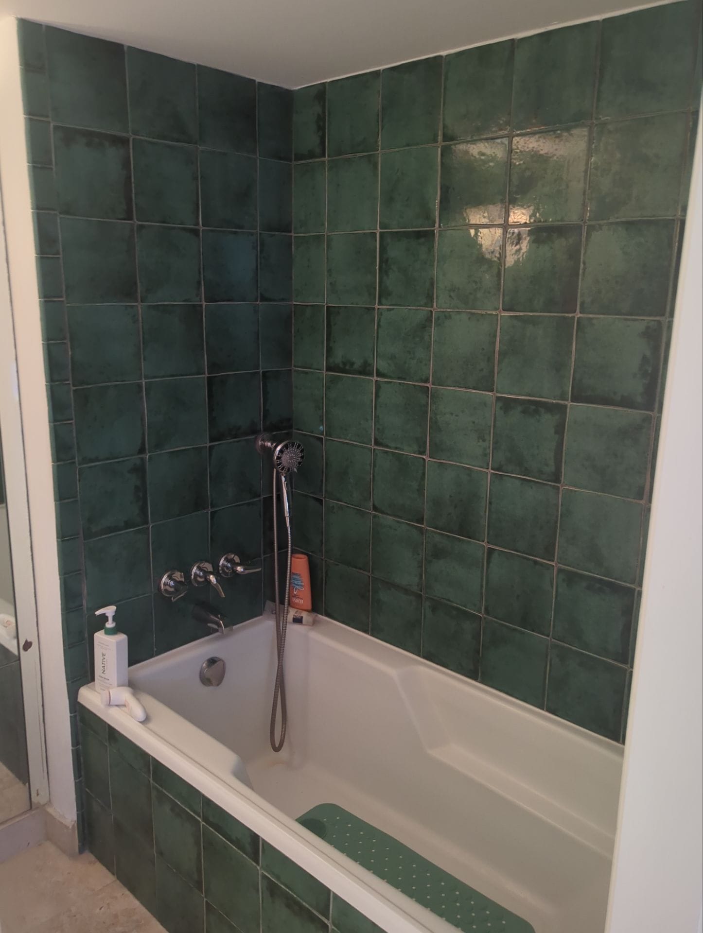 Before Bath Remodel