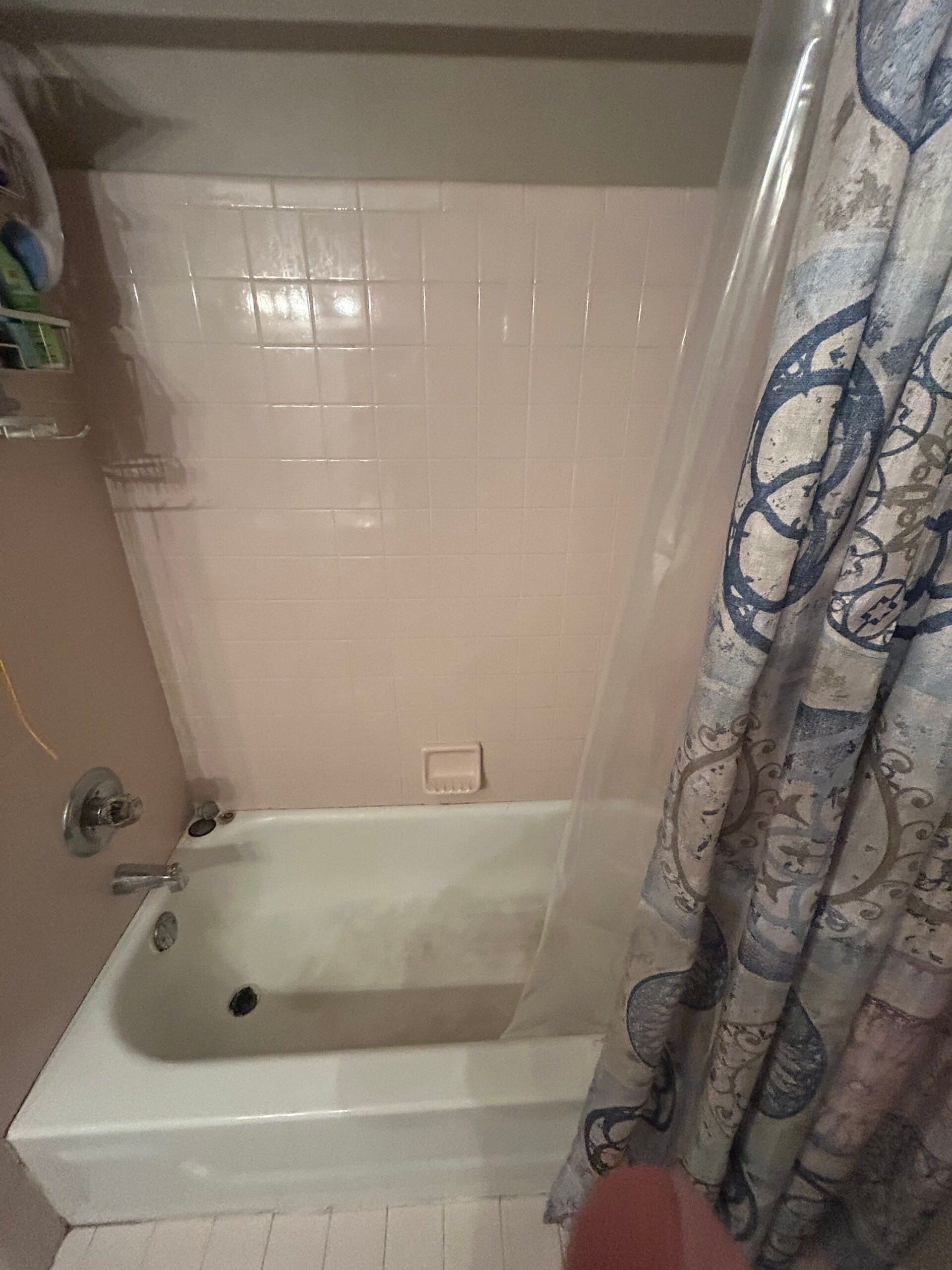 Before Bath Remodel
