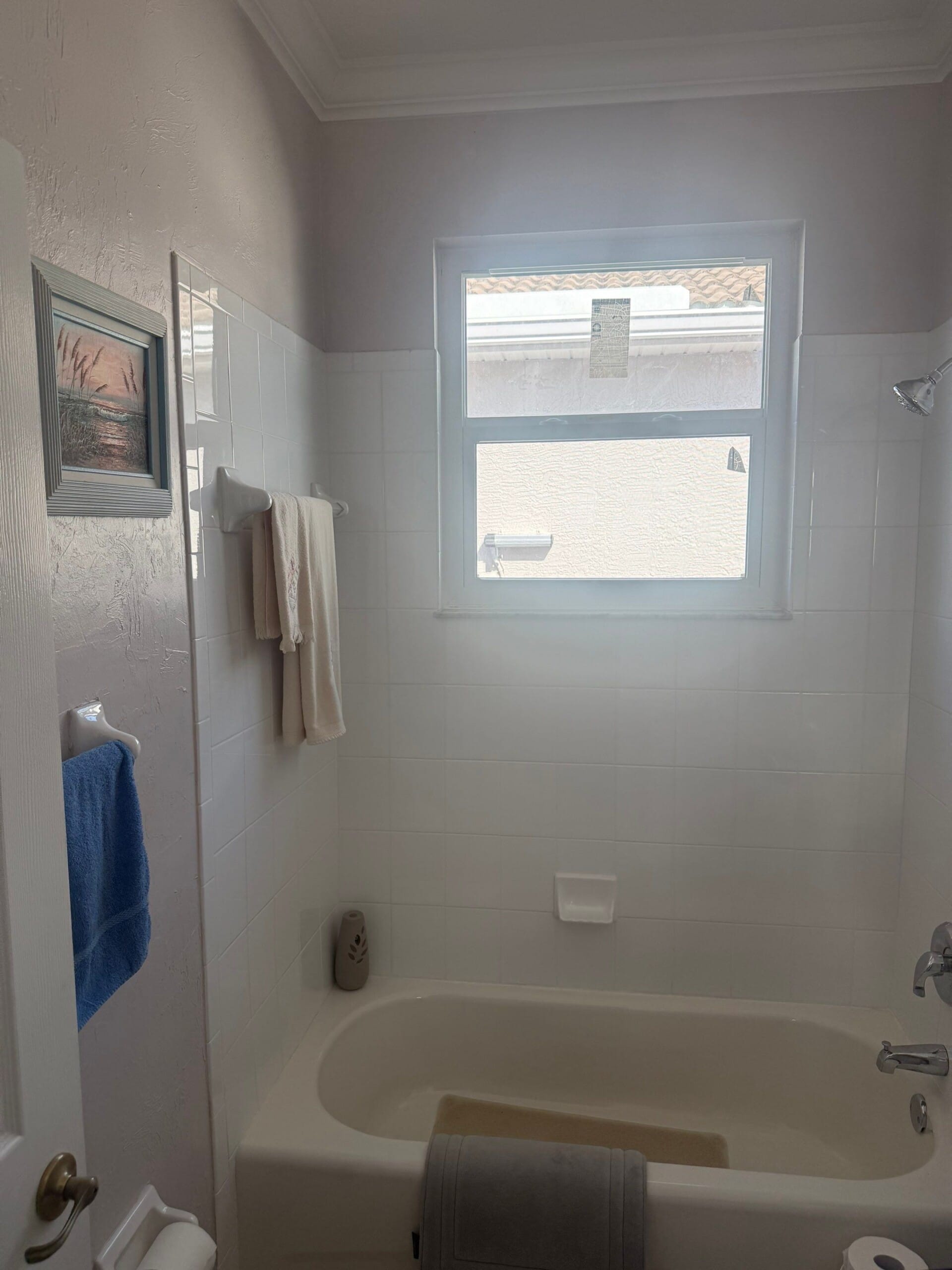 Before Bath Remodel