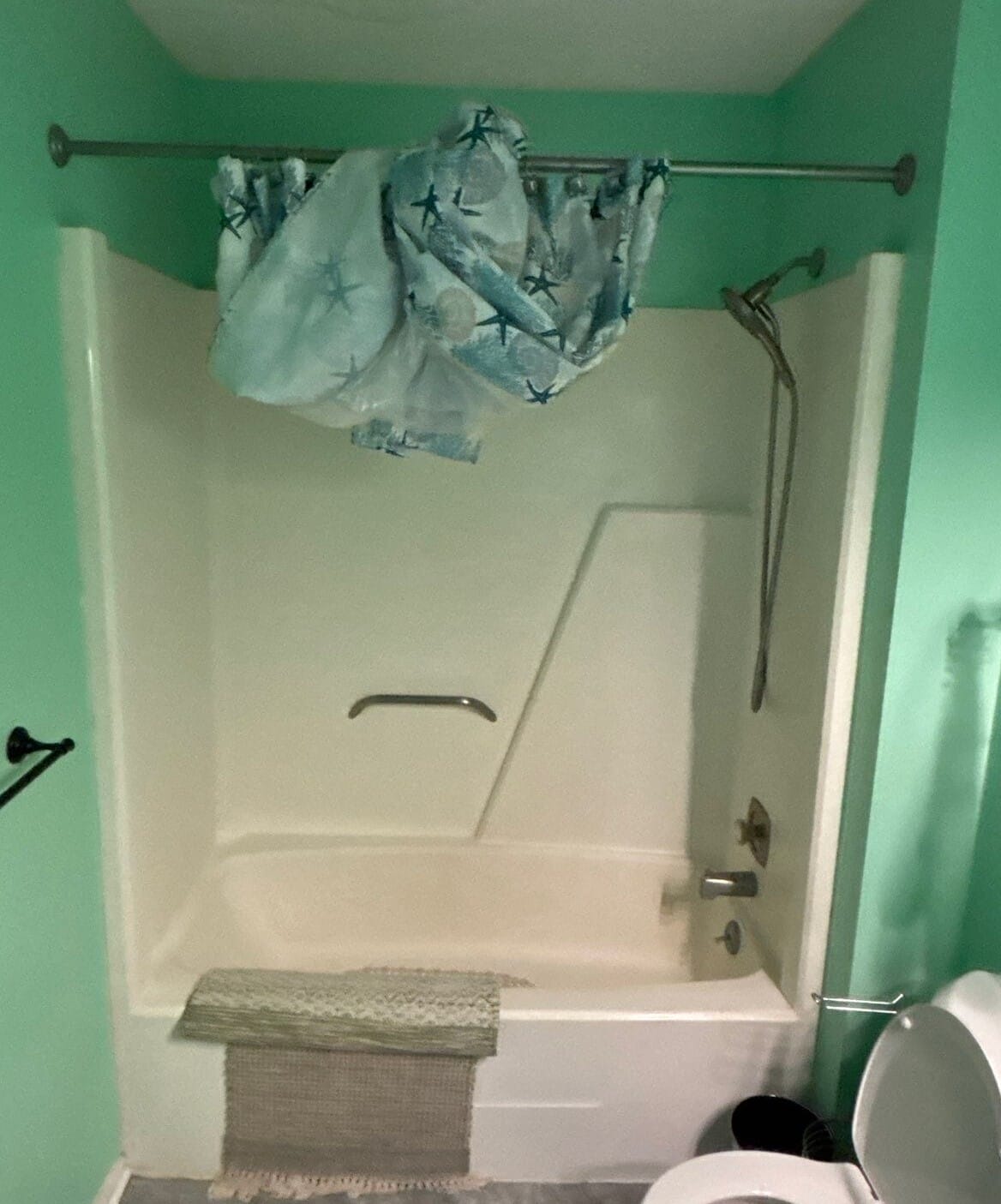 Before Bath Remodel