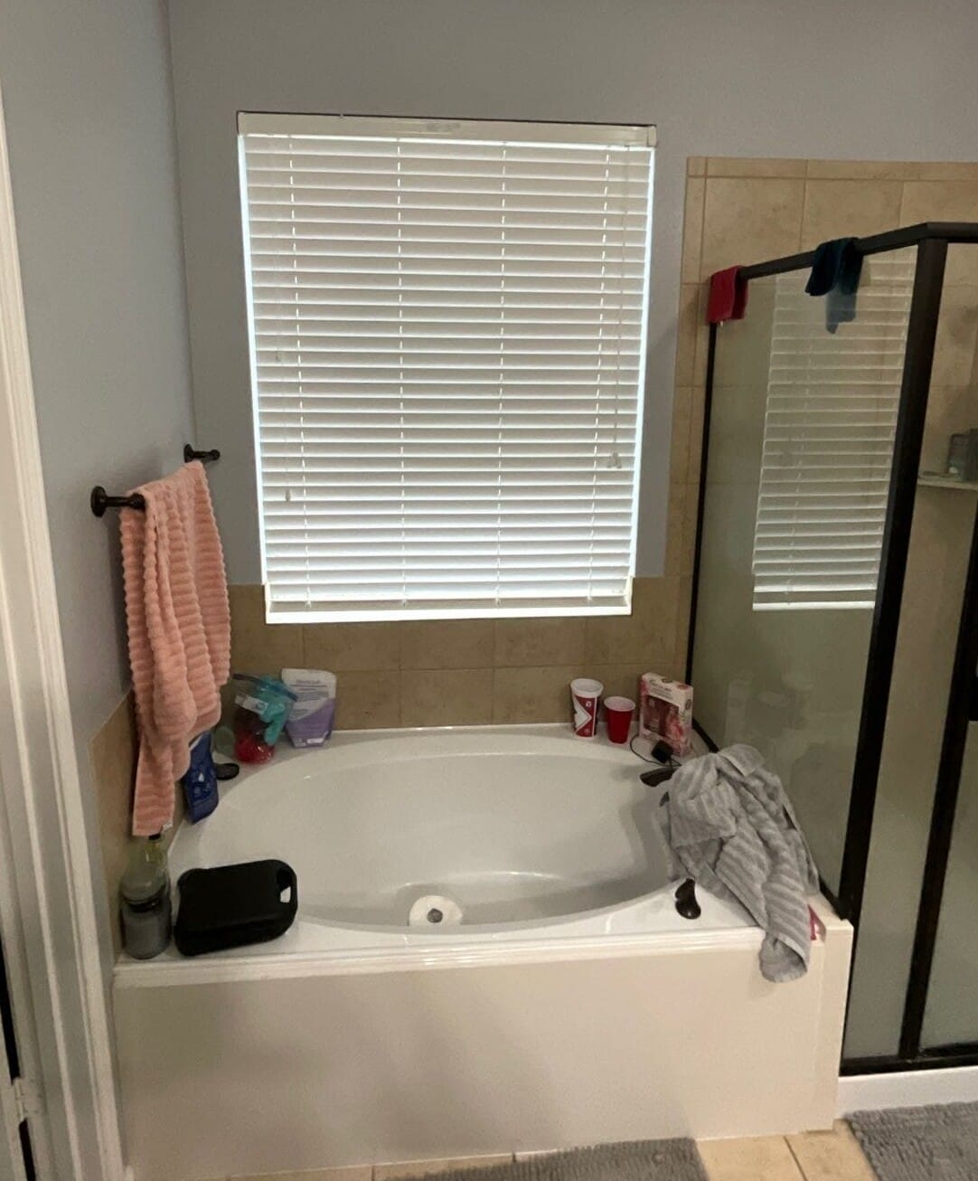 Before Bath Remodel