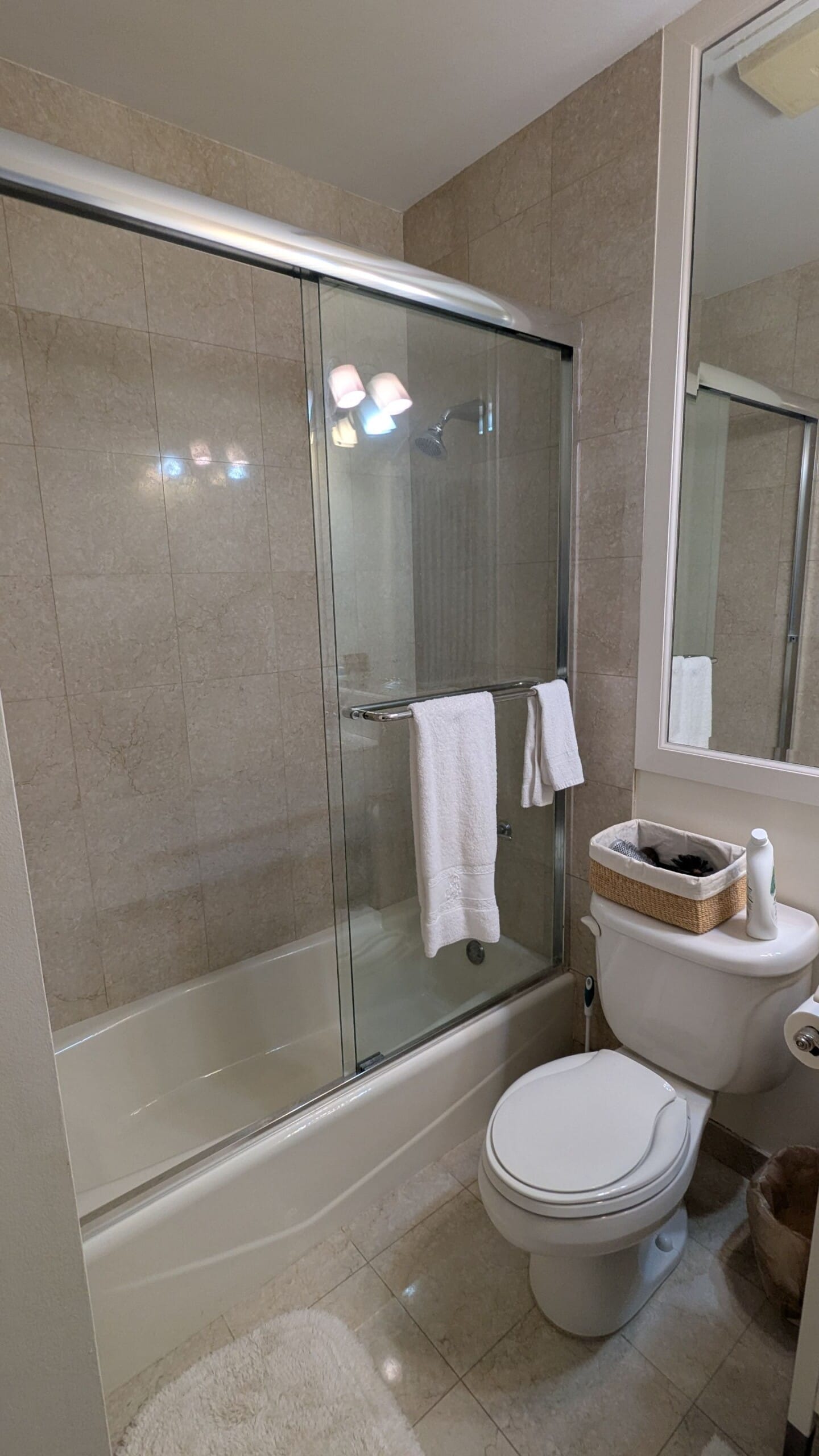 Before Bath Remodel