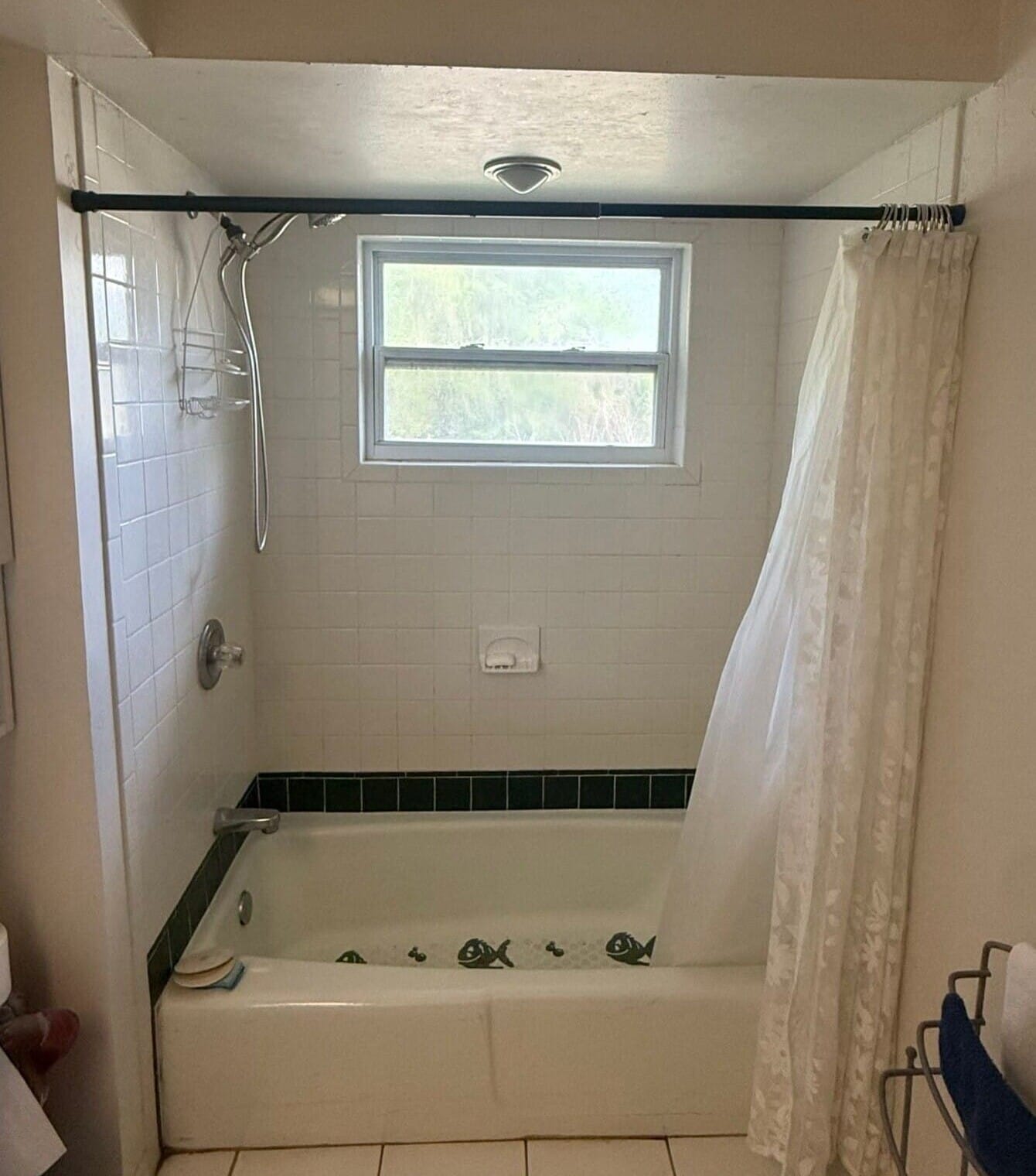 Before Bath Remodel