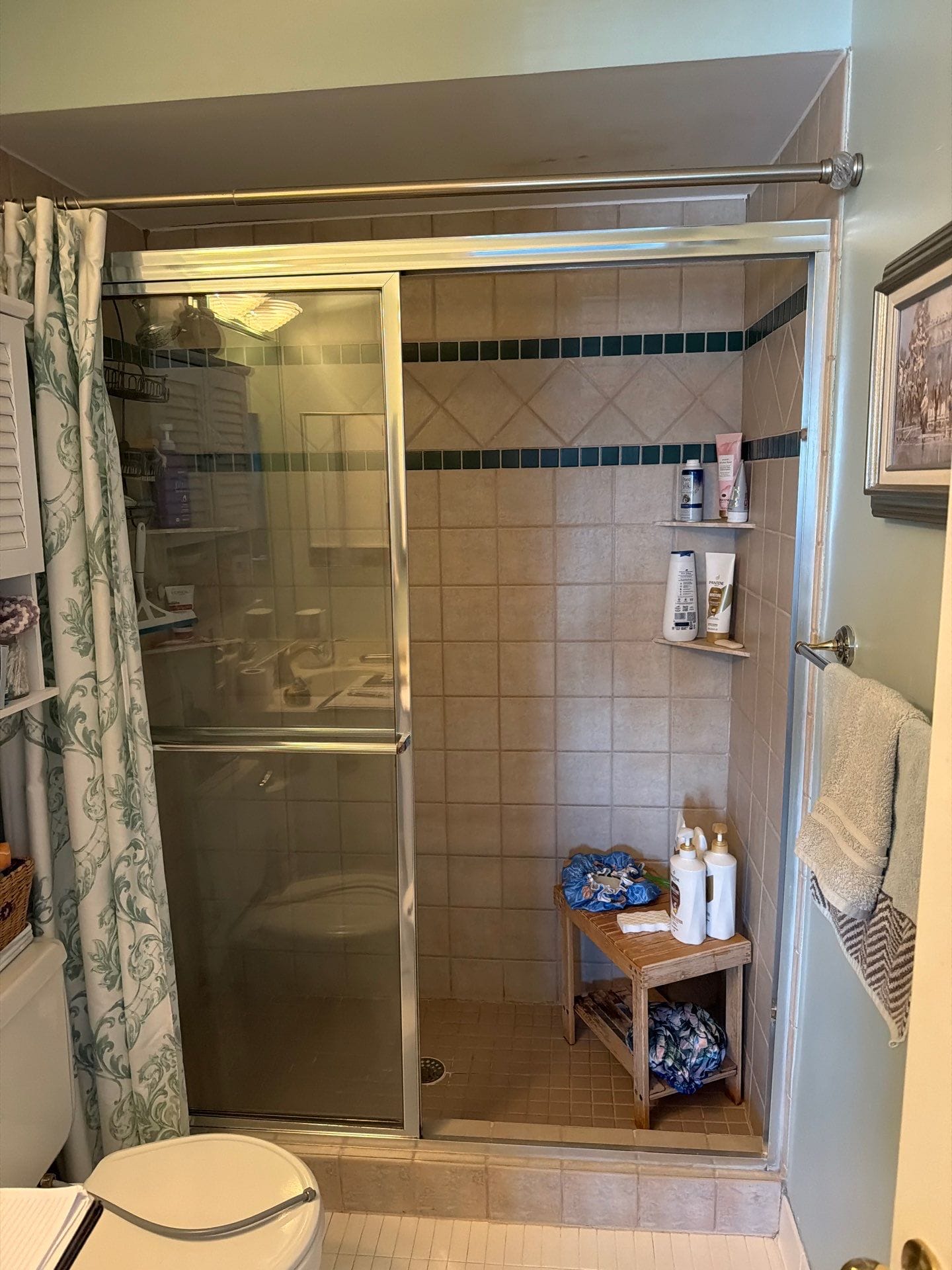 Before Bath Remodel