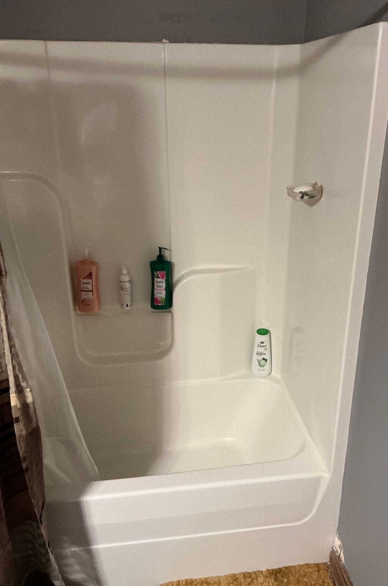 Before Bath Remodel