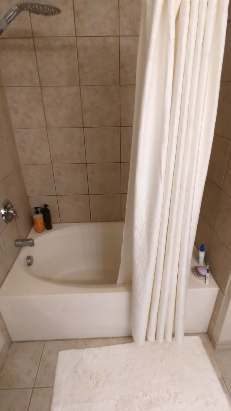 Before Bath Remodel