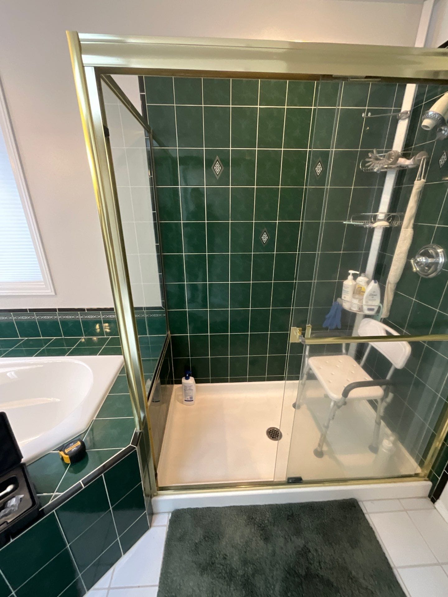Before Bath Remodel