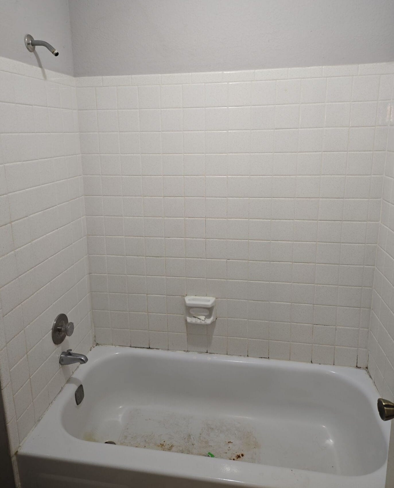 Before Bath Remodel