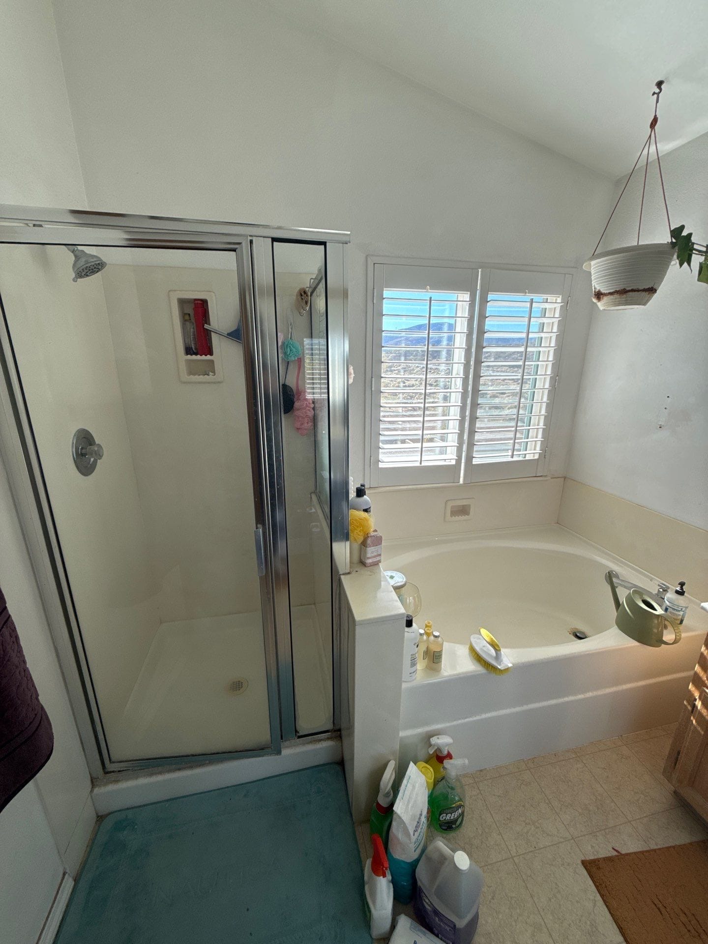 Before Bath Remodel