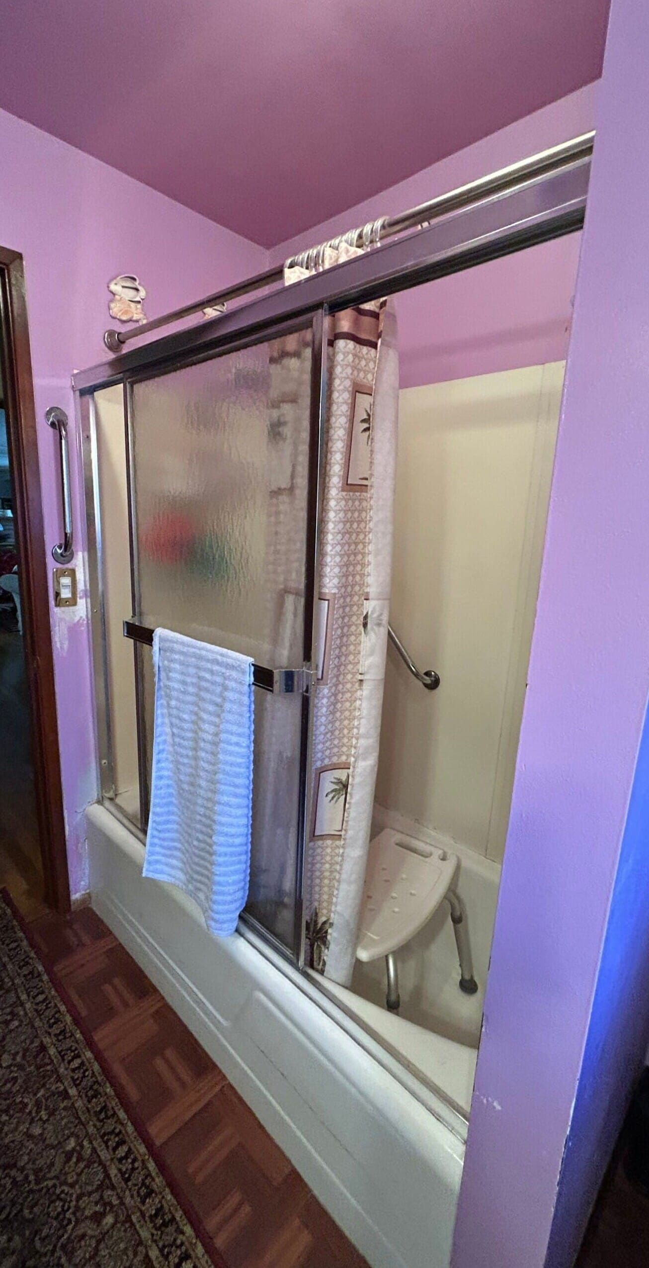 Before Bath Remodel