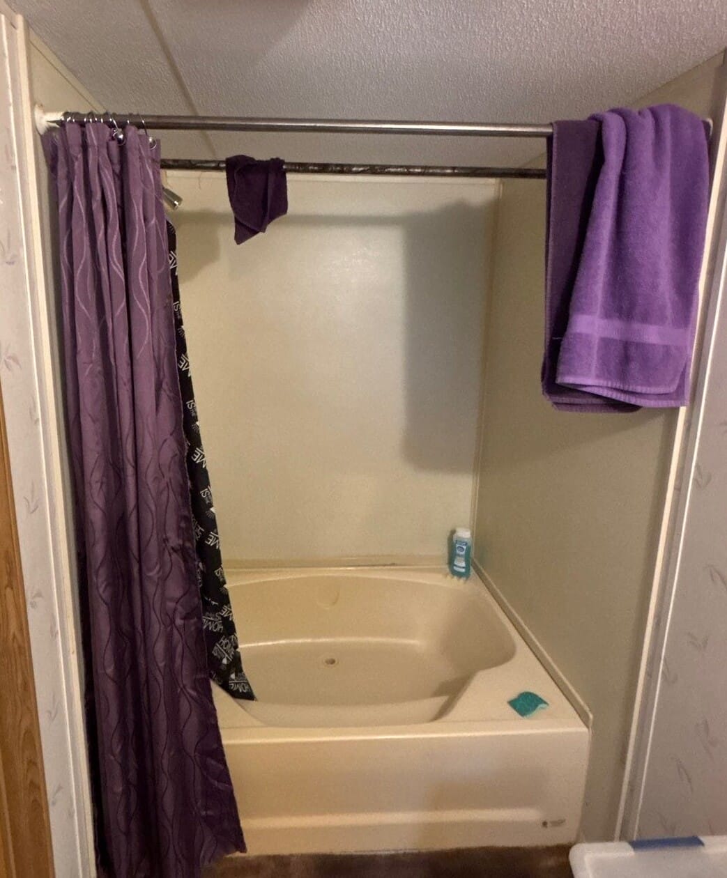 Before Bath Remodel