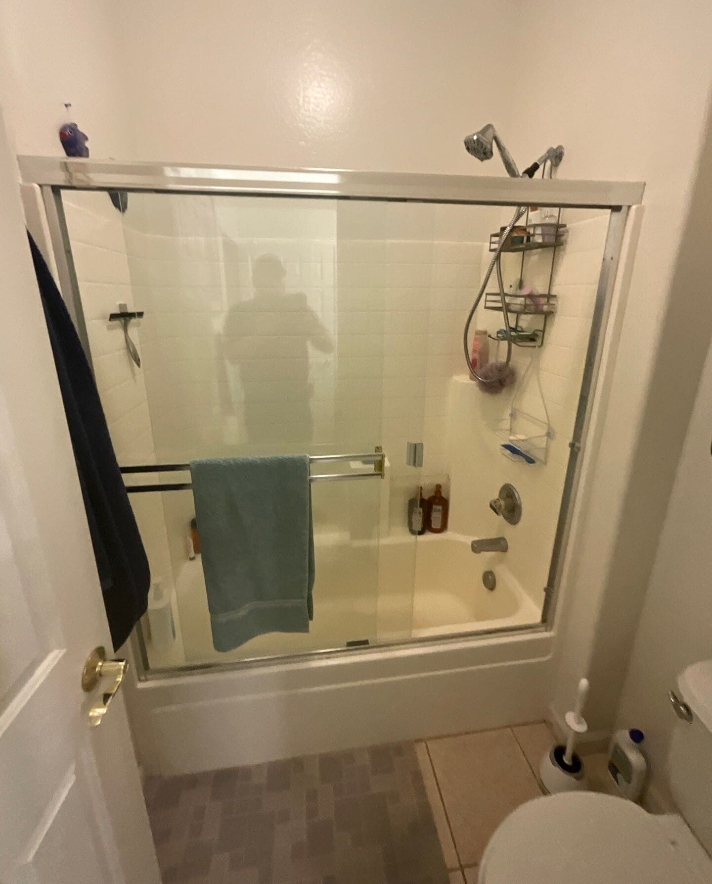 Before Bath Remodel