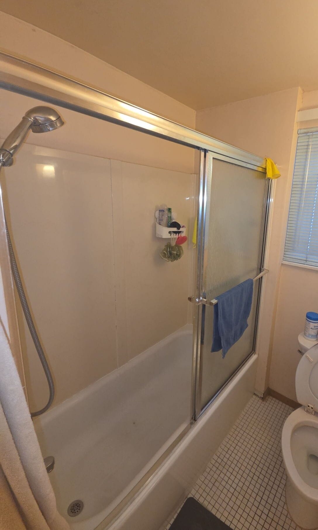 Before Bath Remodel