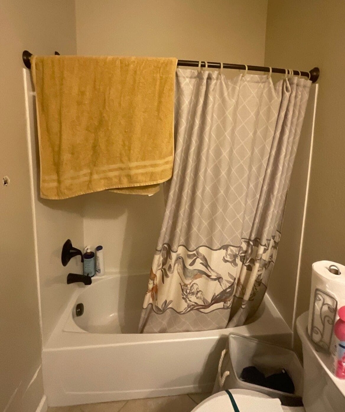 Before Bath Remodel