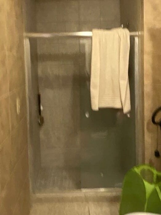 Before Bath Remodel