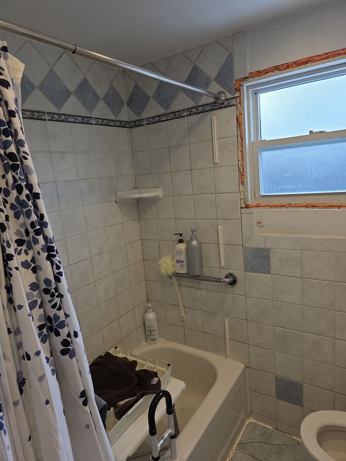 Before Bath Remodel