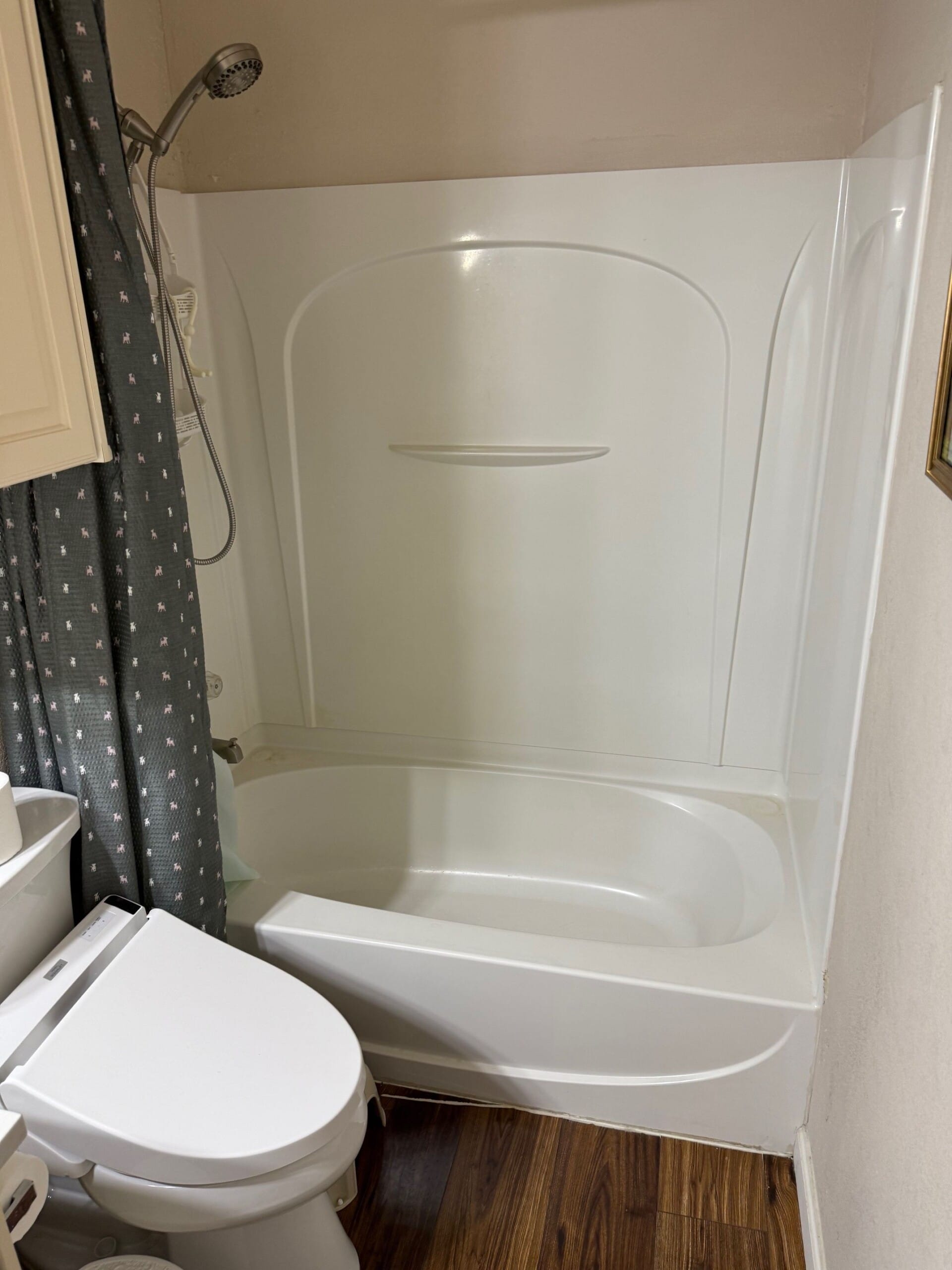 Before Bath Remodel