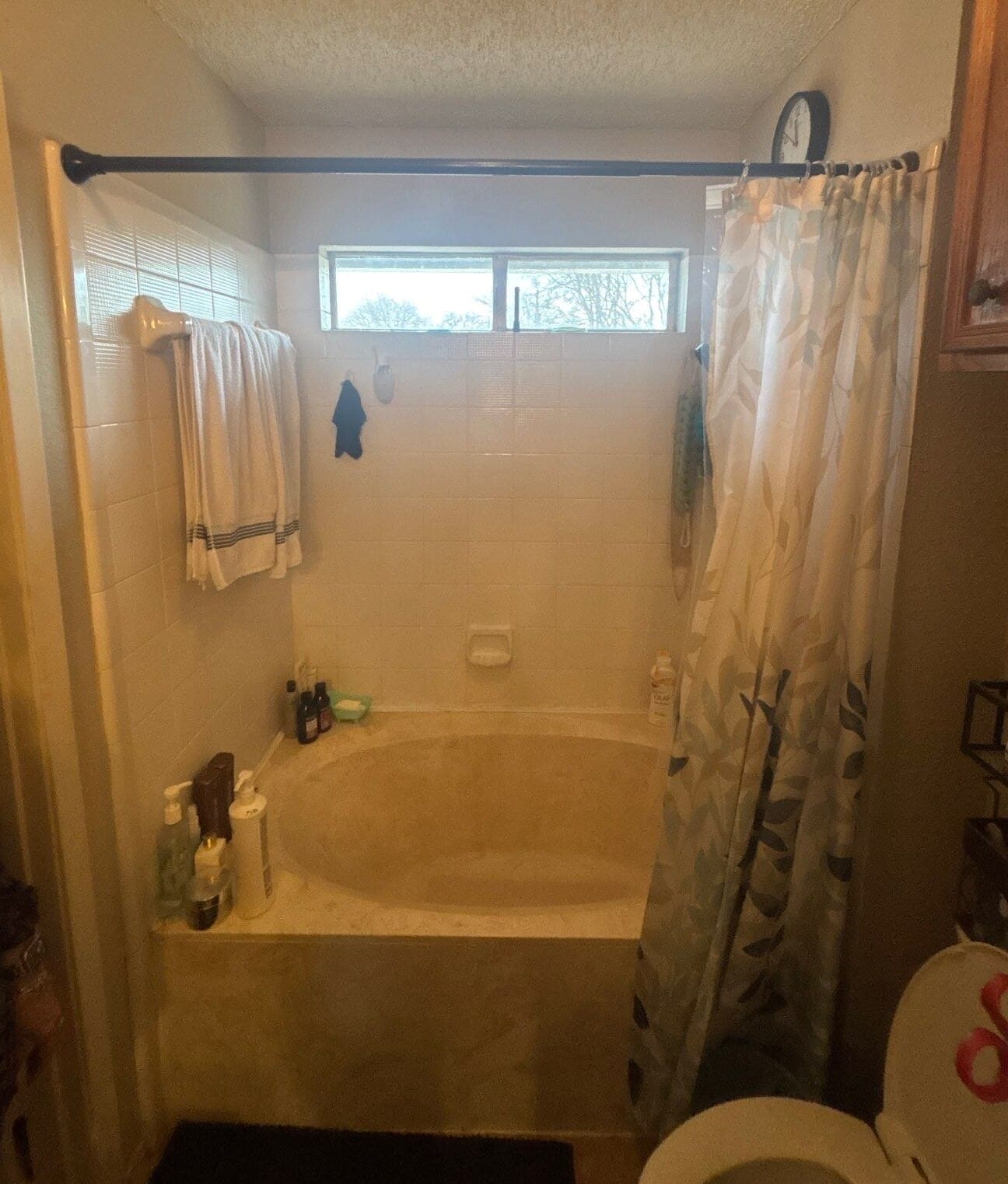 Before Bath Remodel