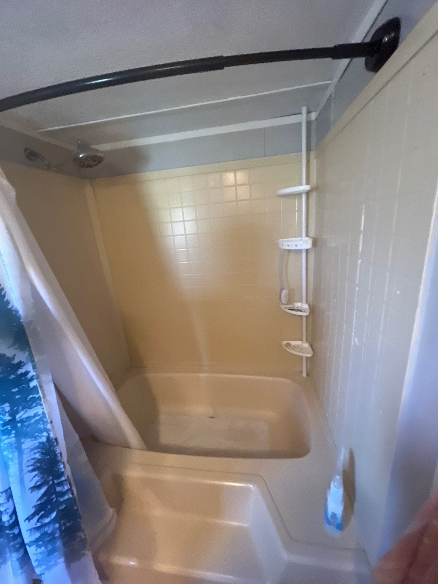 Before Bath Remodel