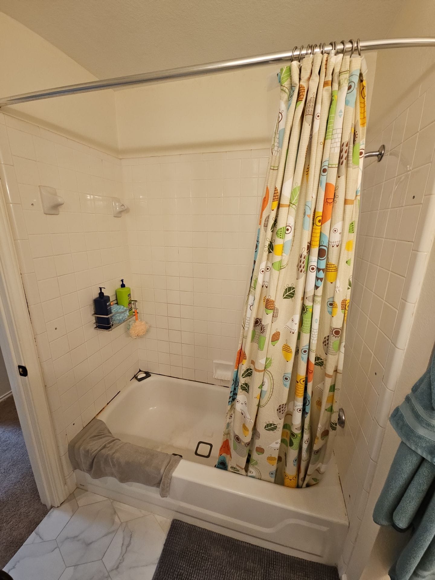 Before Bath Remodel