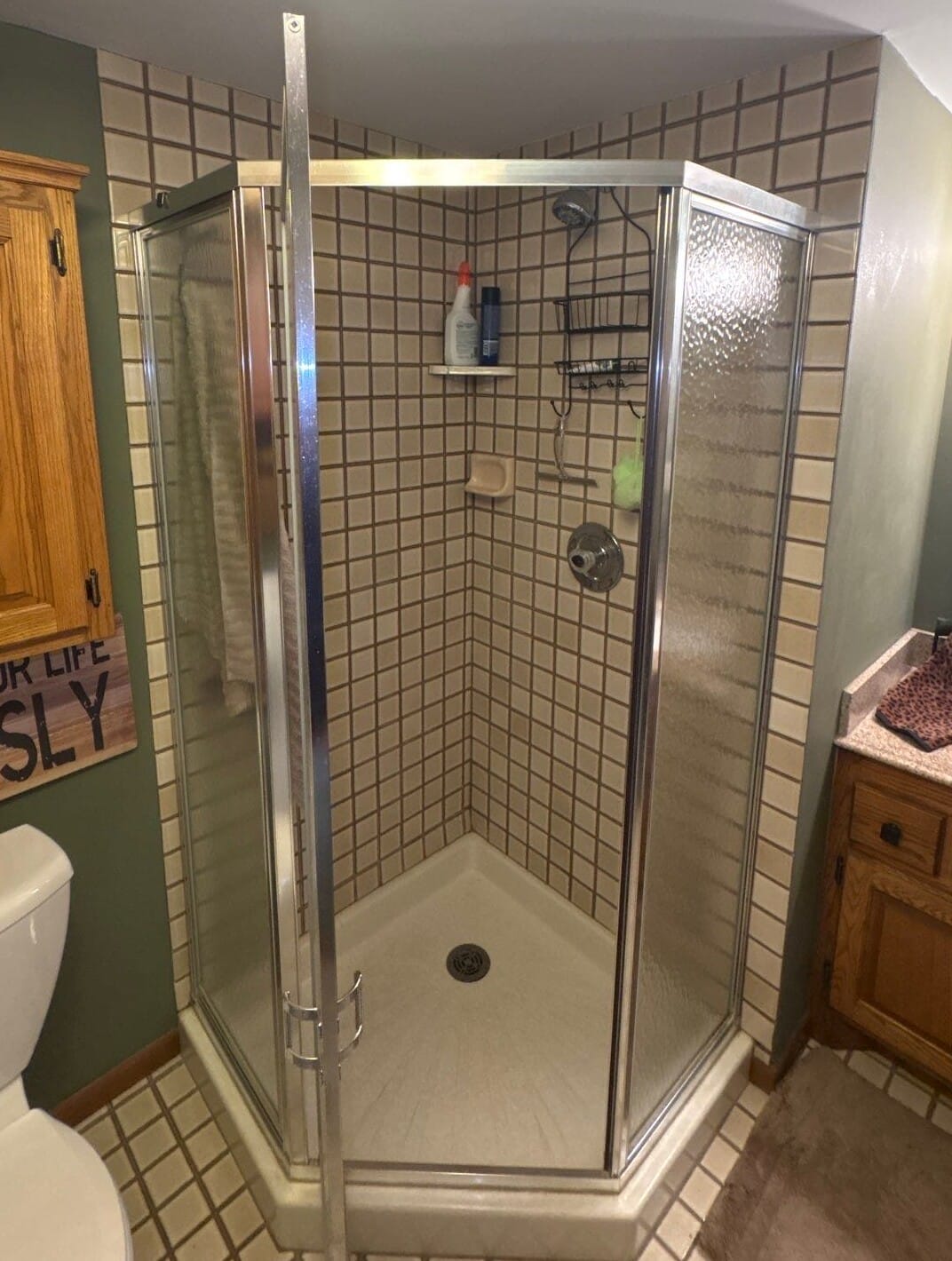 Before Bath Remodel