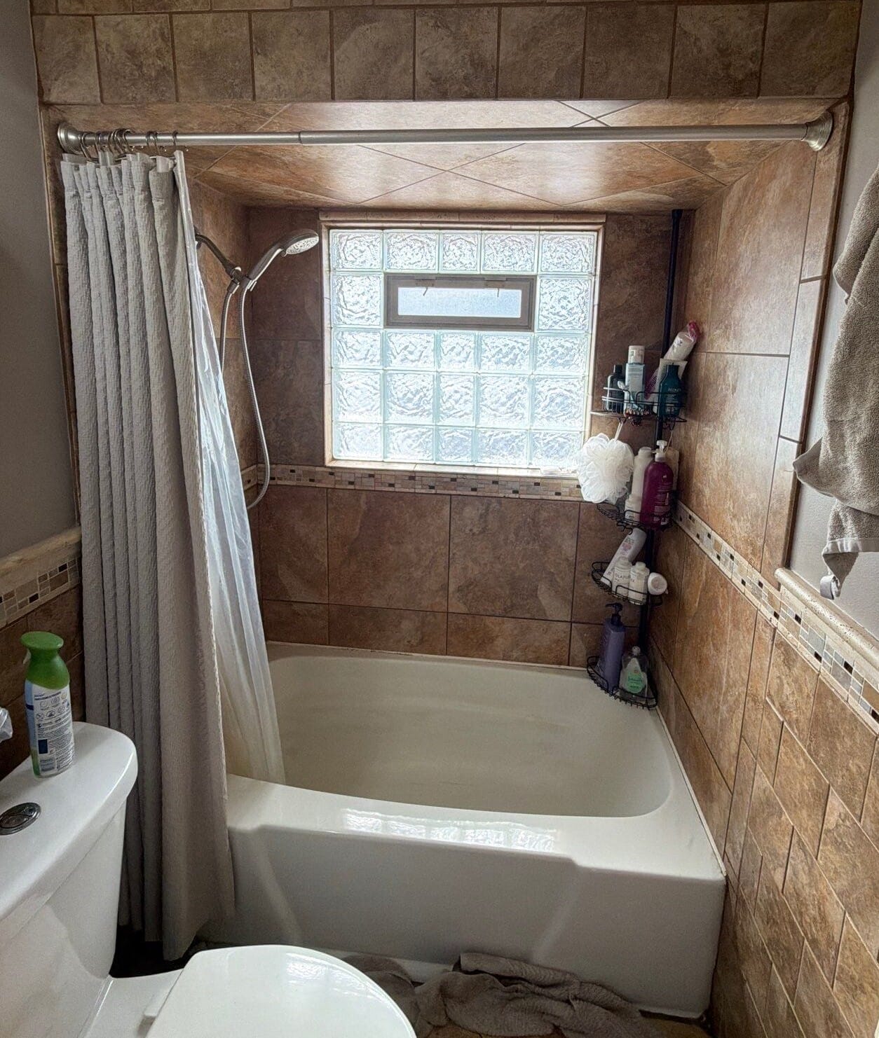 Before Bath Remodel