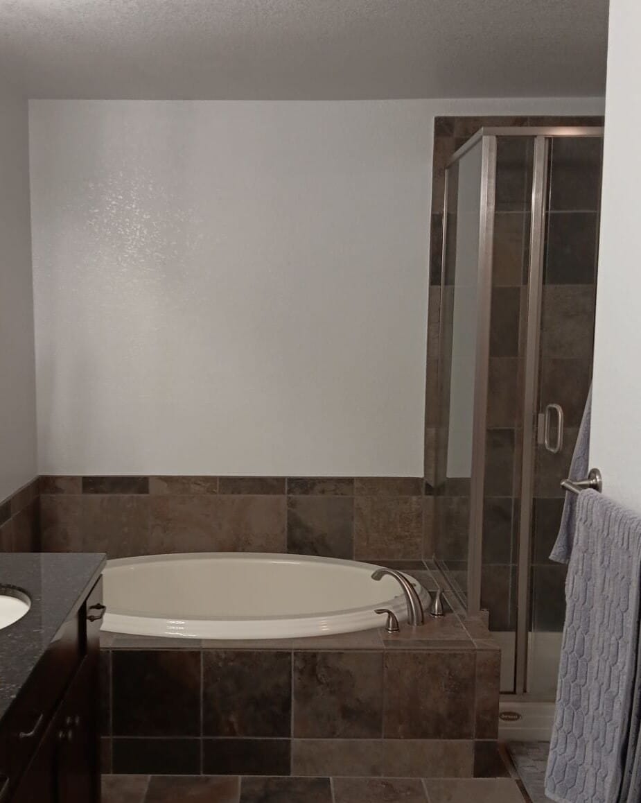 Before Bath Remodel