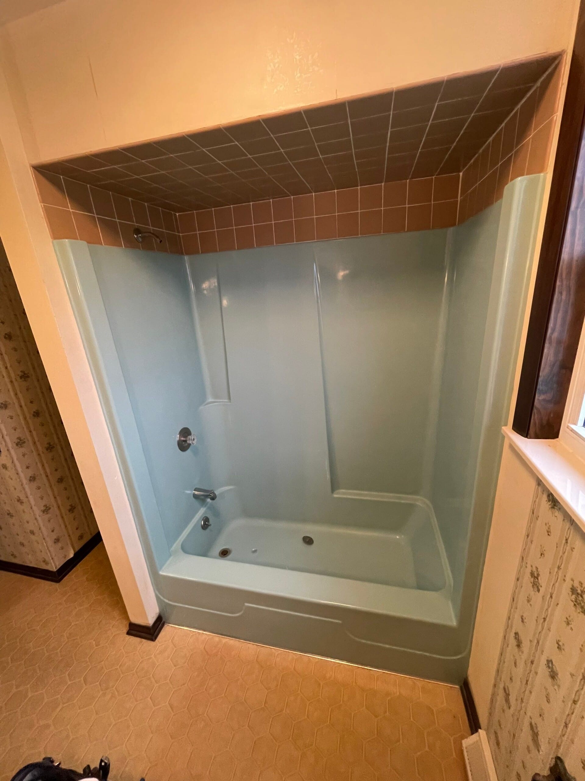 Before Bath Remodel