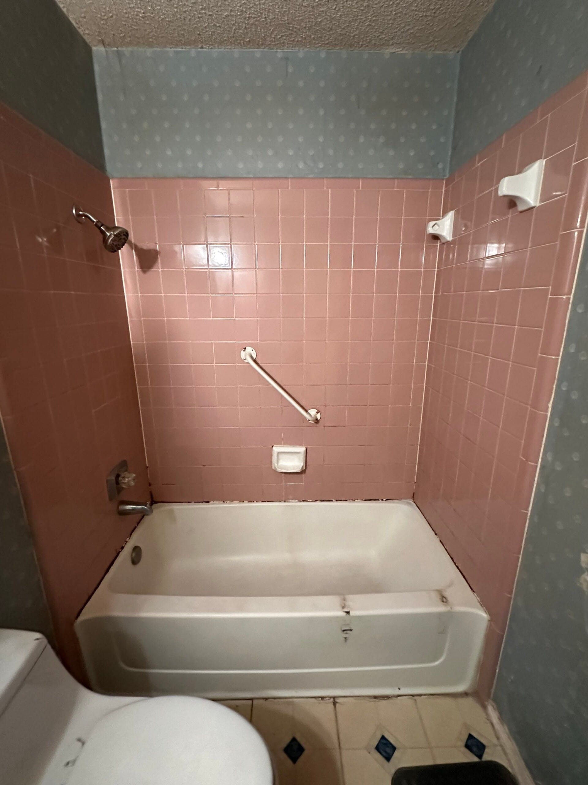 Before Bath Remodel