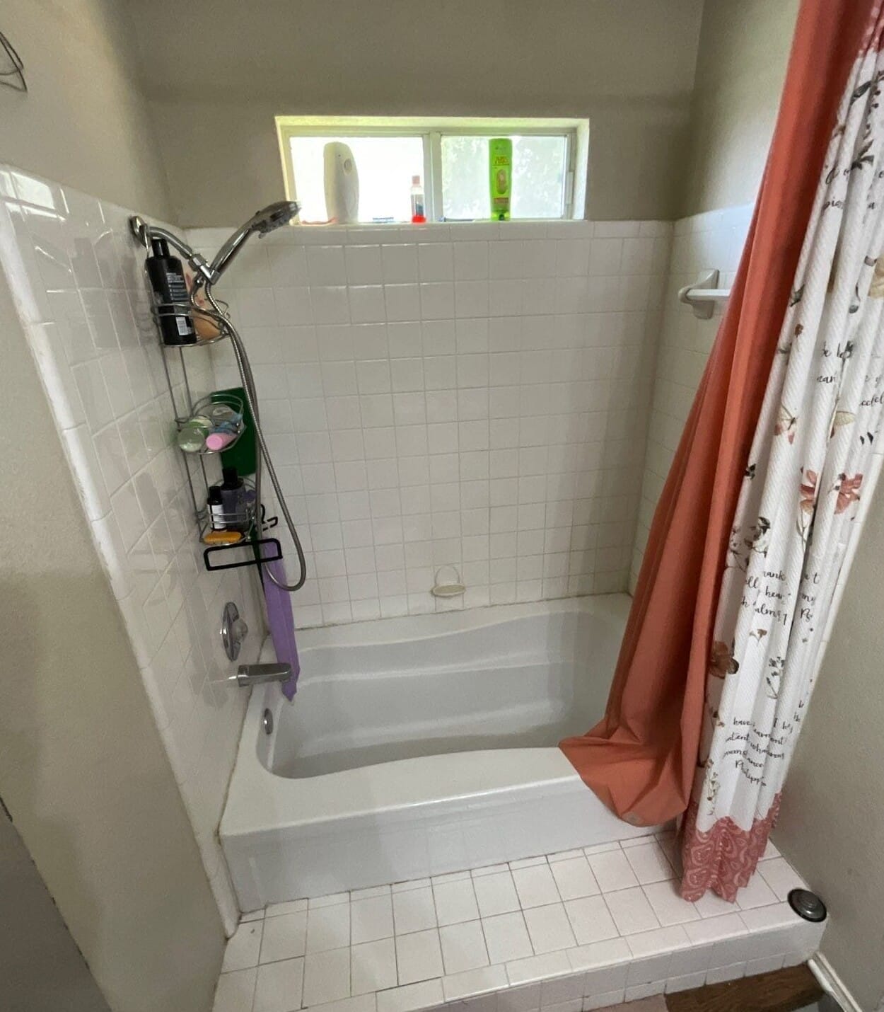 Before Bath Remodel