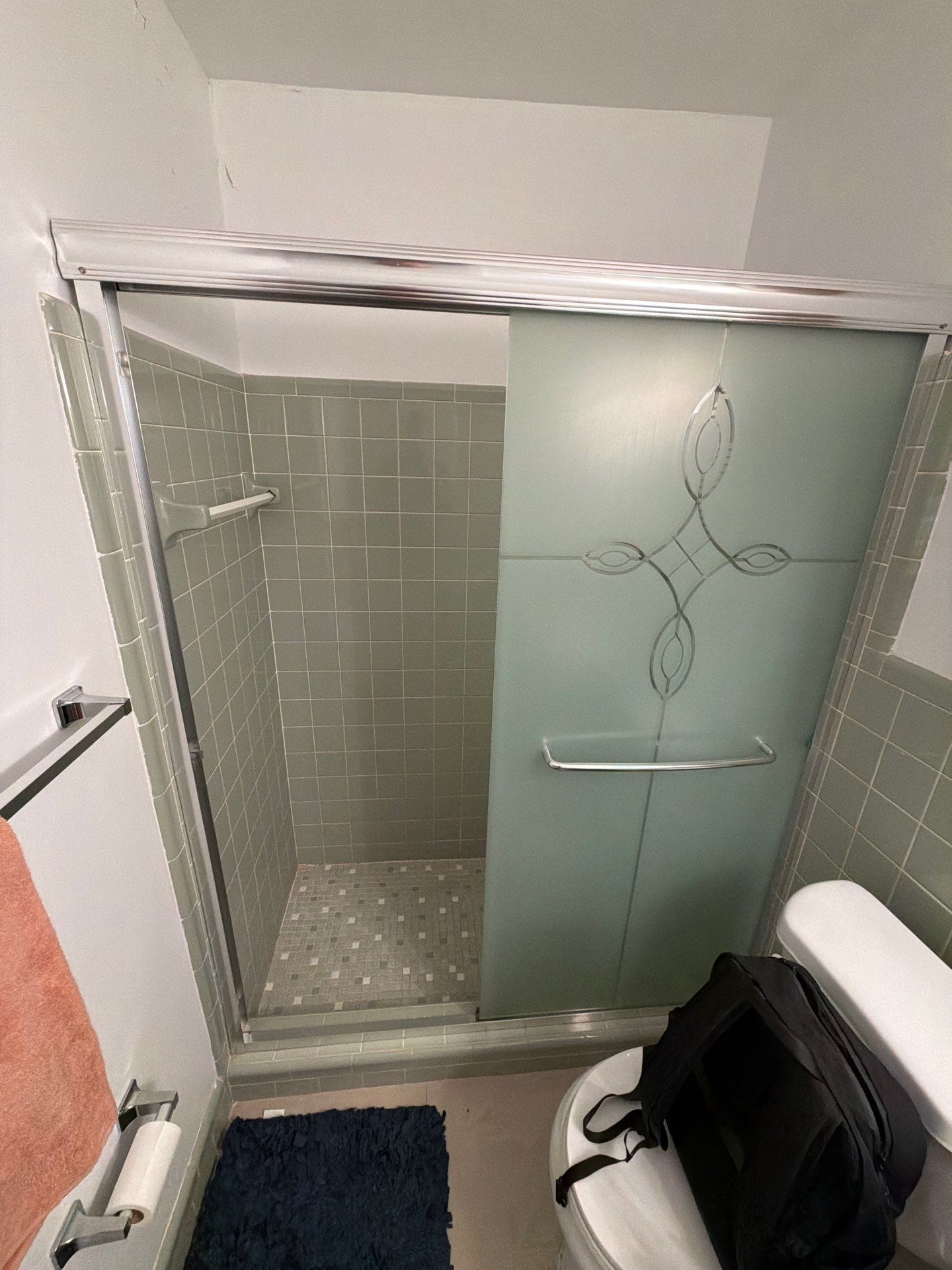 Before Bath Remodel