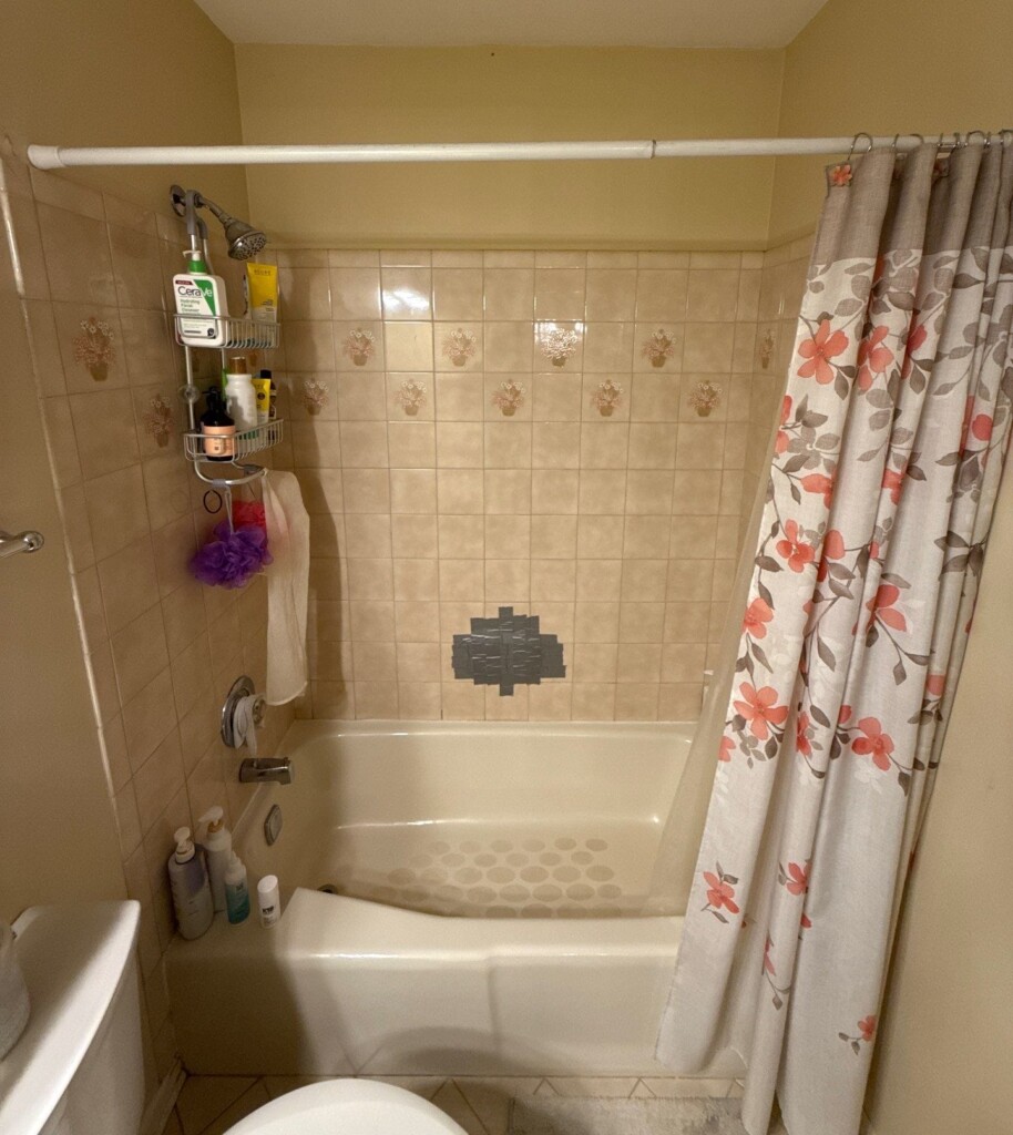Before - Walk-in Shower Install, Jasmine Ct, Crystal Lake, IL 60012