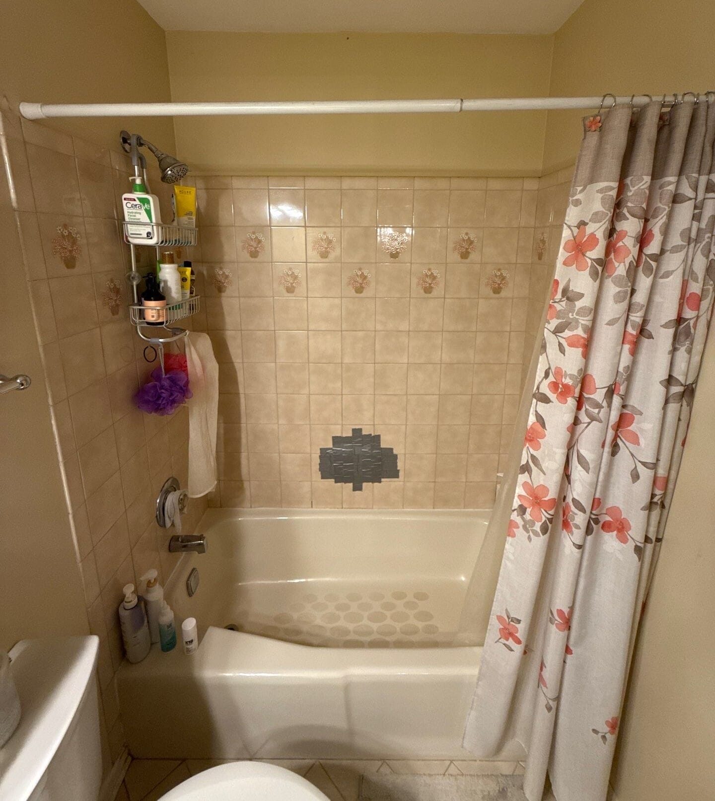 Before Bath Remodel