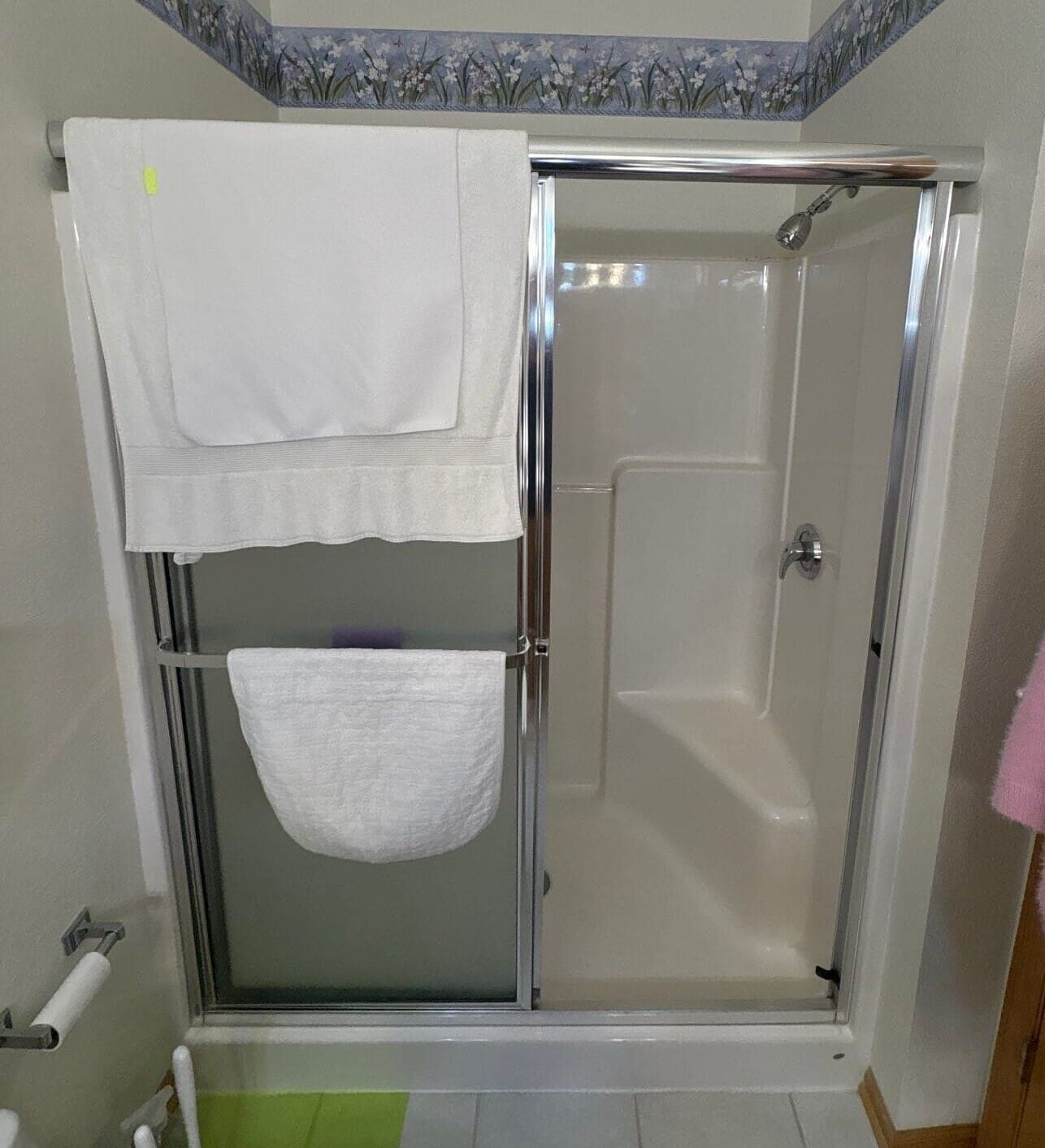 Before Bath Remodel