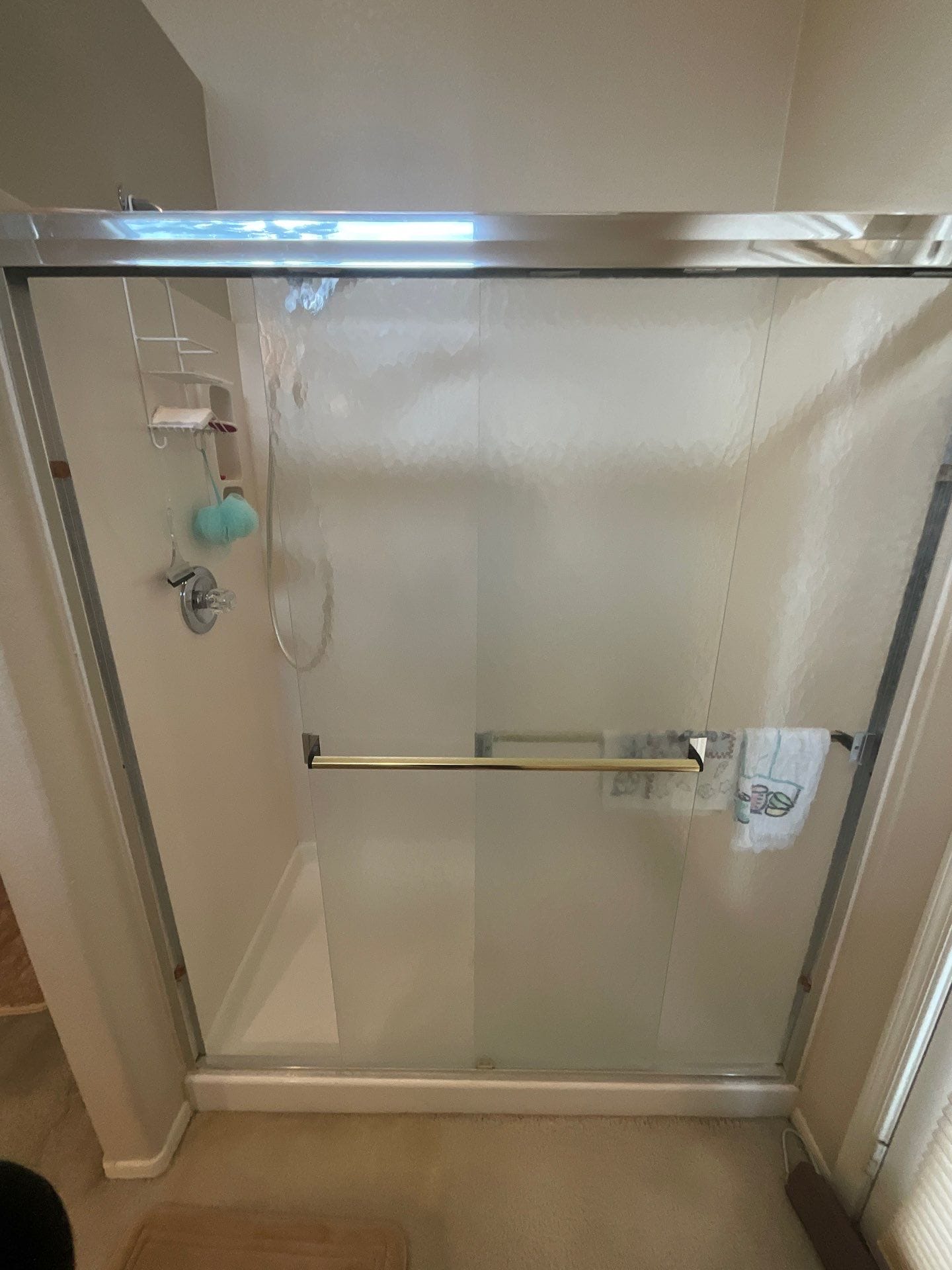 Before Bath Remodel