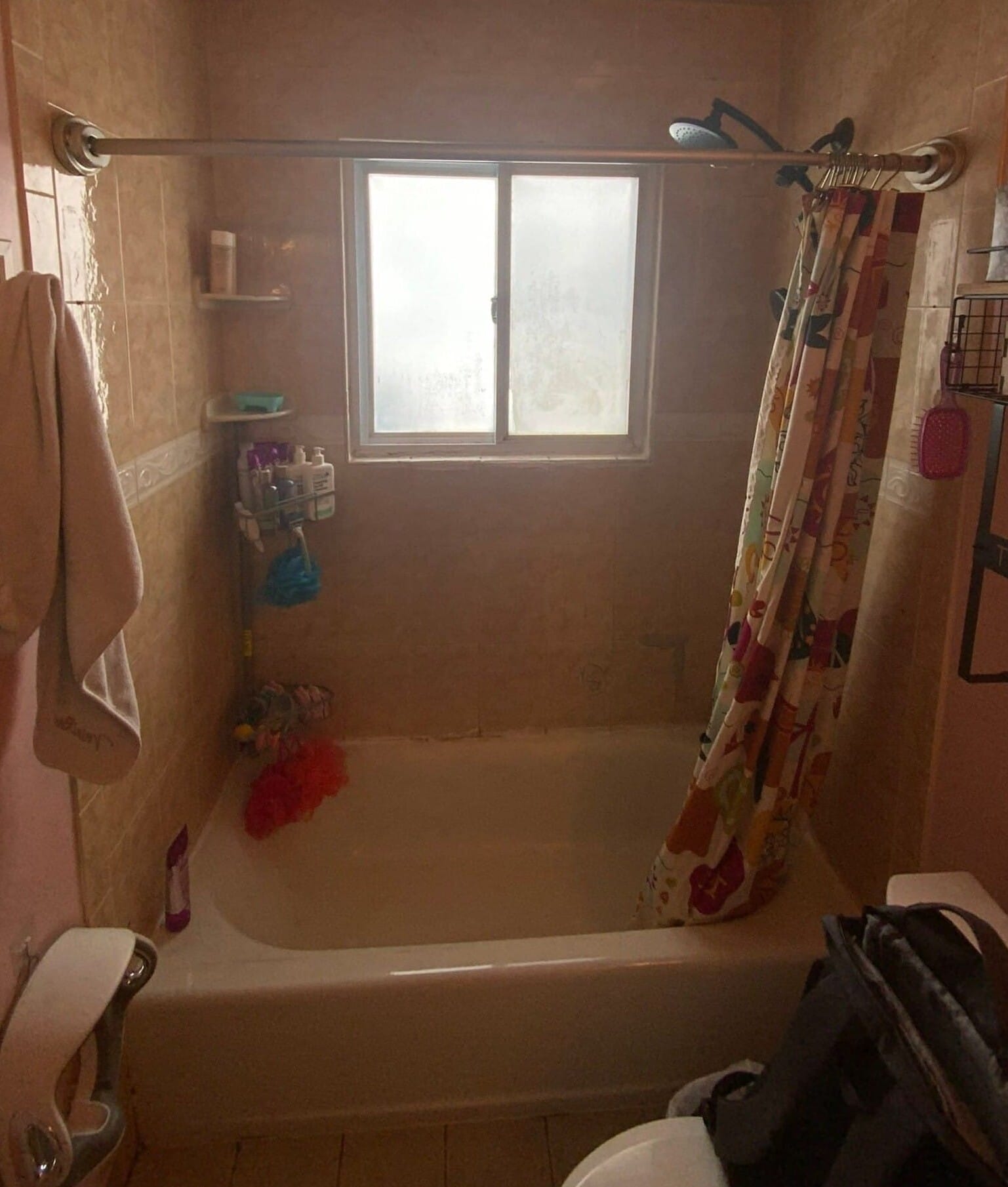 Before Bath Remodel