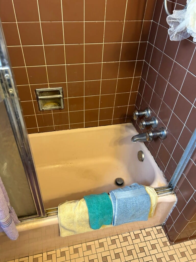 Before - Walk-in Shower Install, Recreation St, Saint Clair Shores, MI 48082