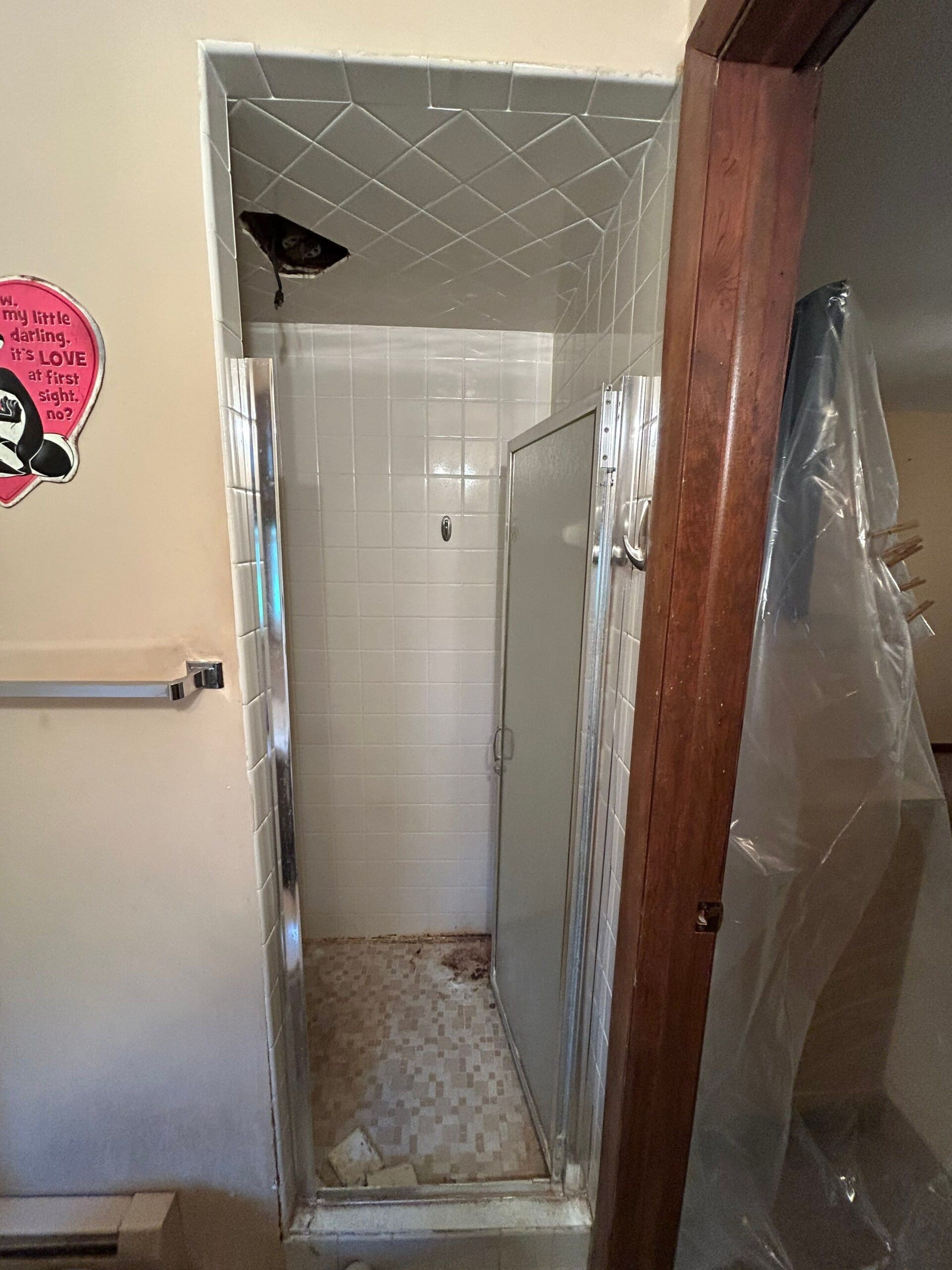 Before Bath Remodel