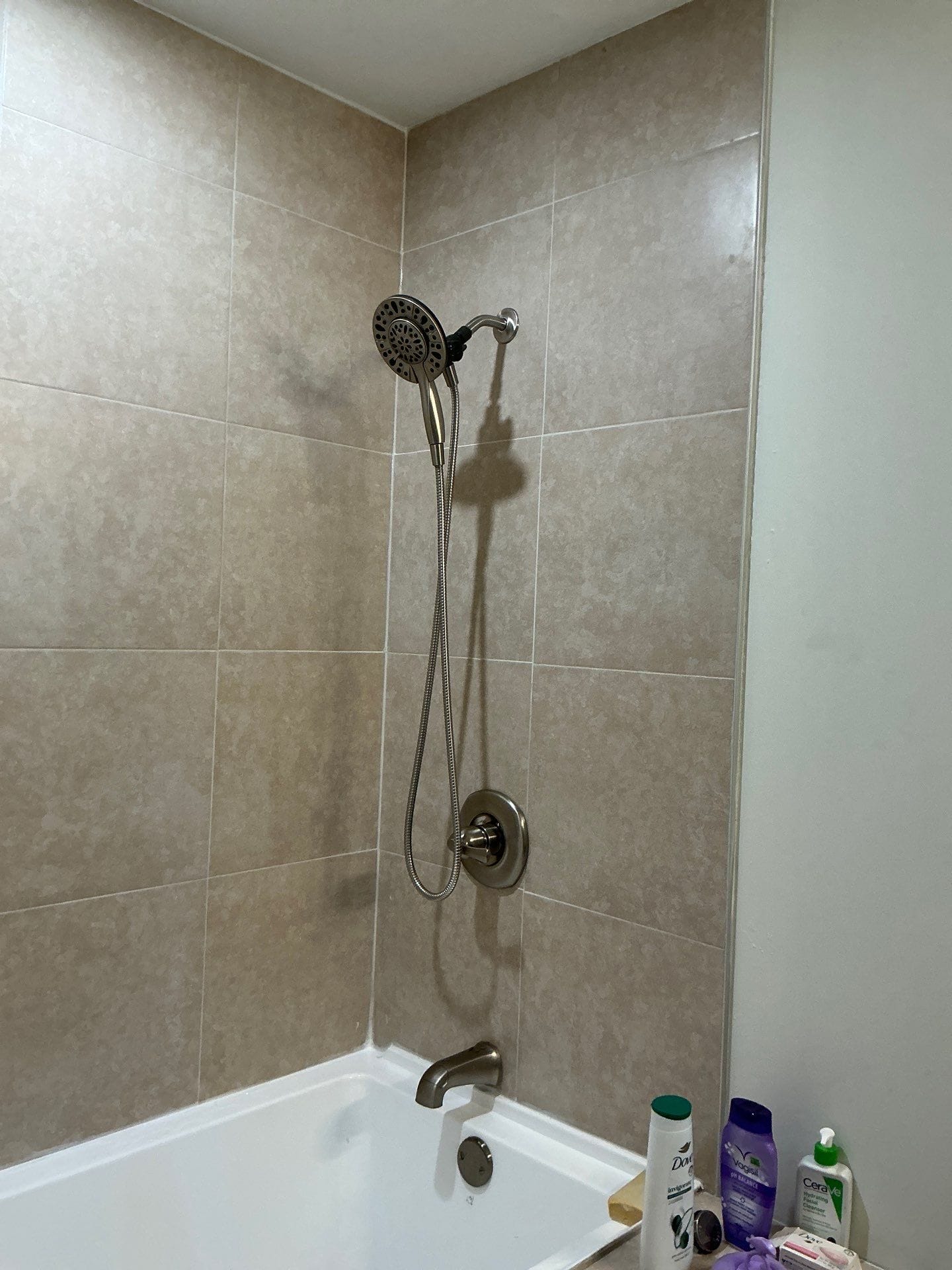 Before Bath Remodel