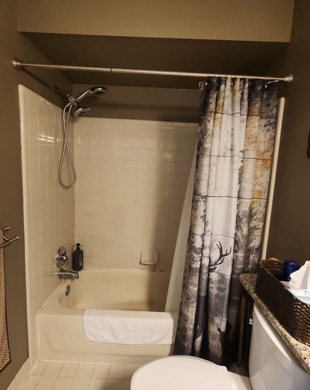 Before Bath Remodel