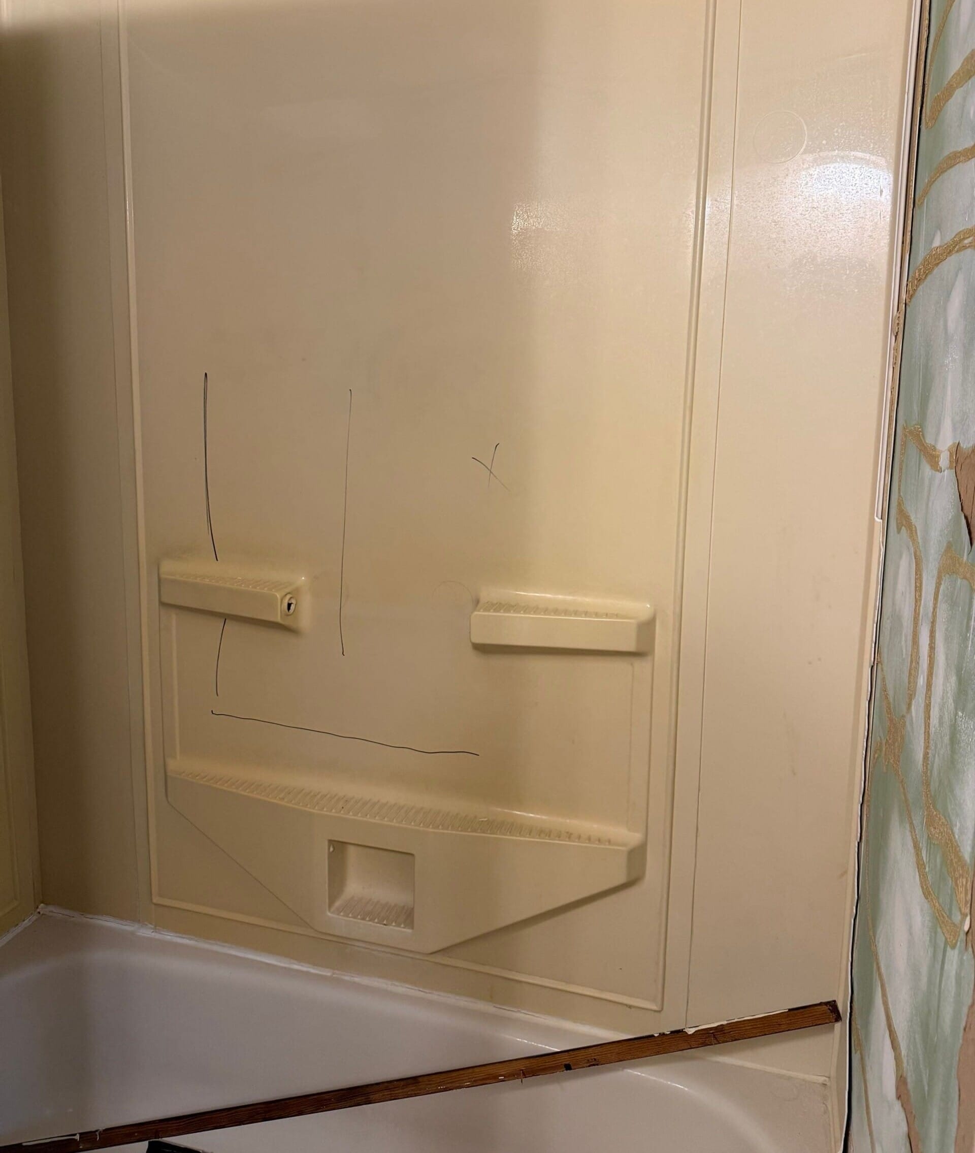 Before Bath Remodel
